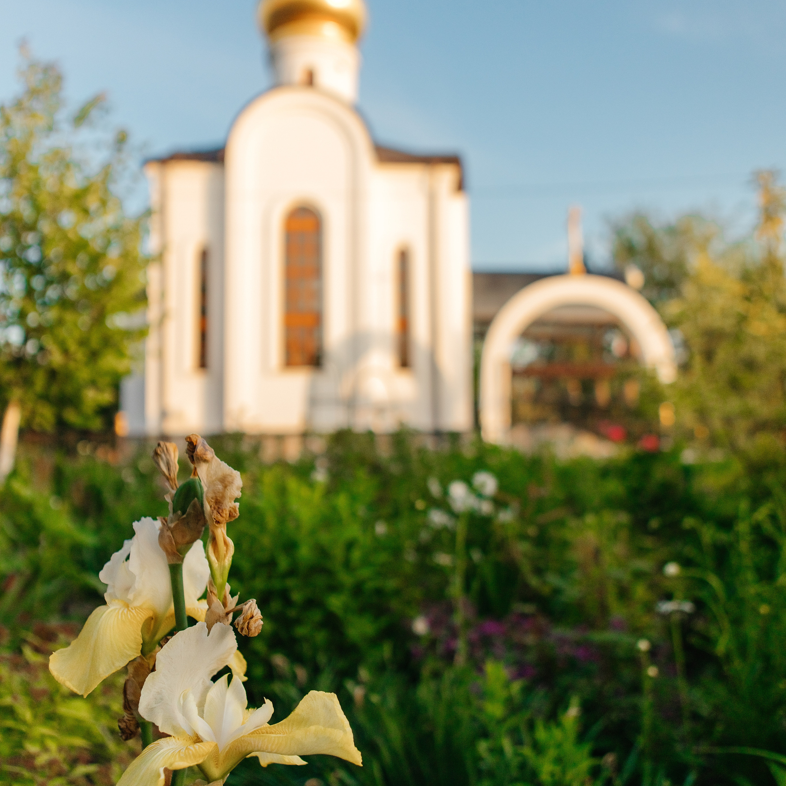 Отзывы. Семейный и свадебный фотограф в Волгограде Мария Богданова