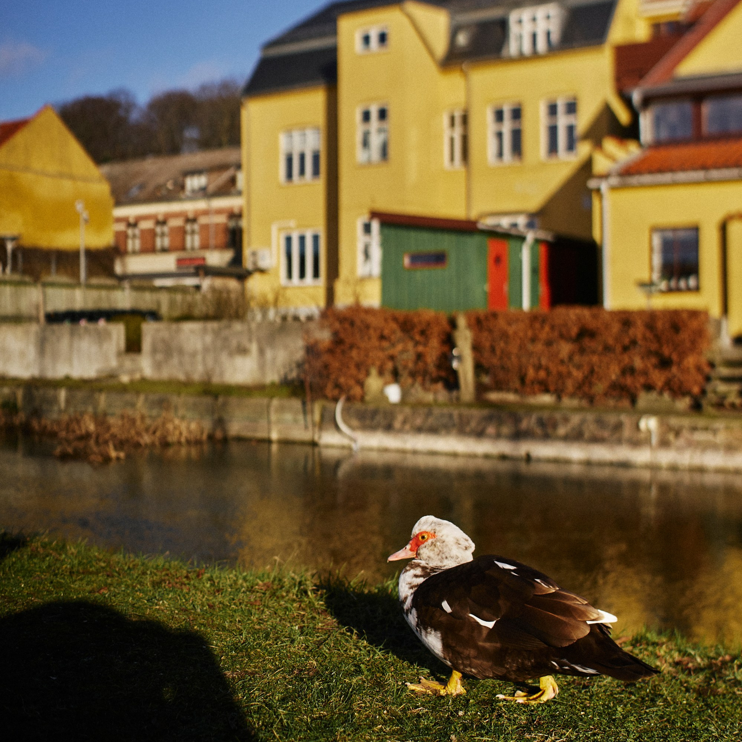 Frederiksværk i februar
