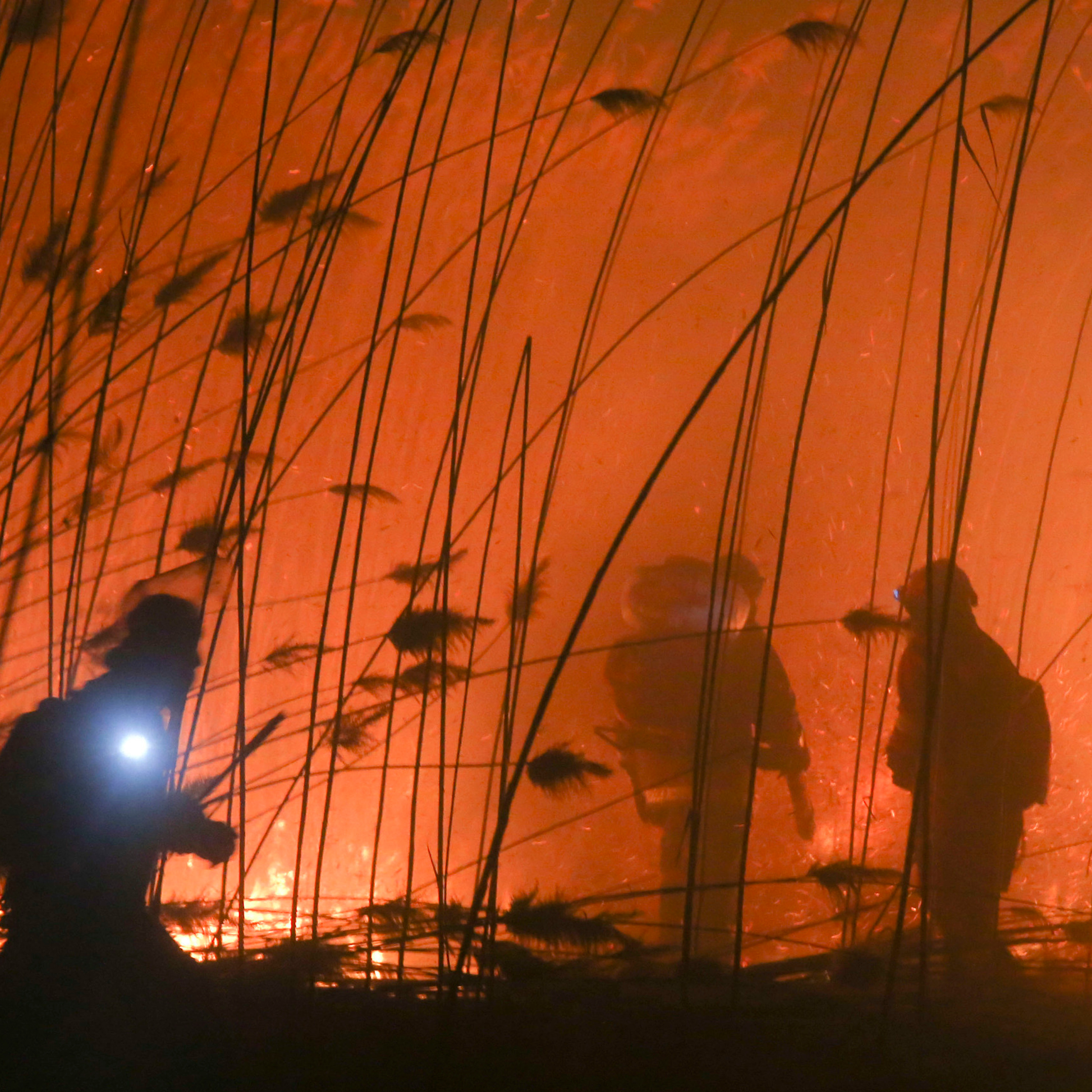 Пожары. Работа добровольцев
