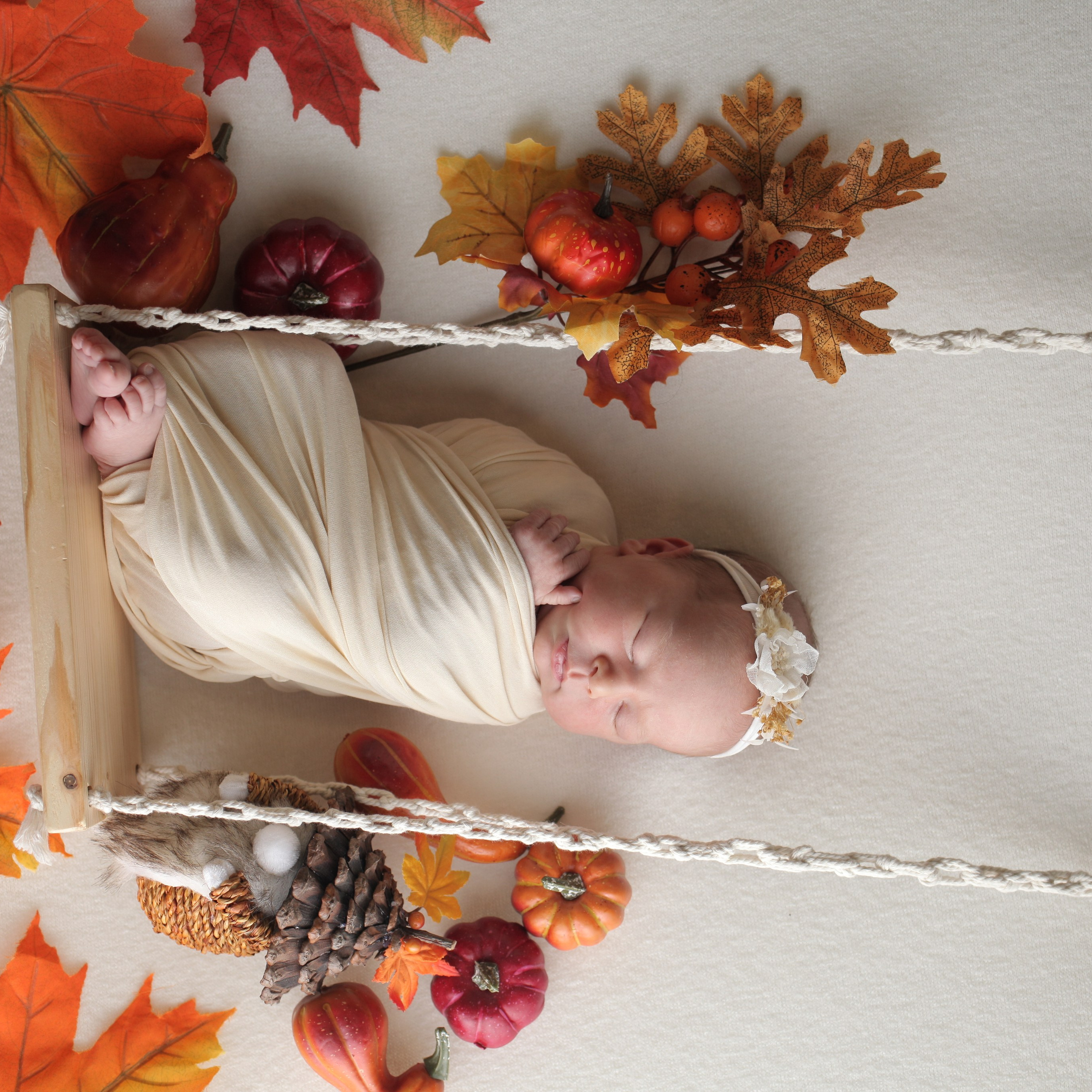 Отзывы. Фотограф новорождённых в Самаре