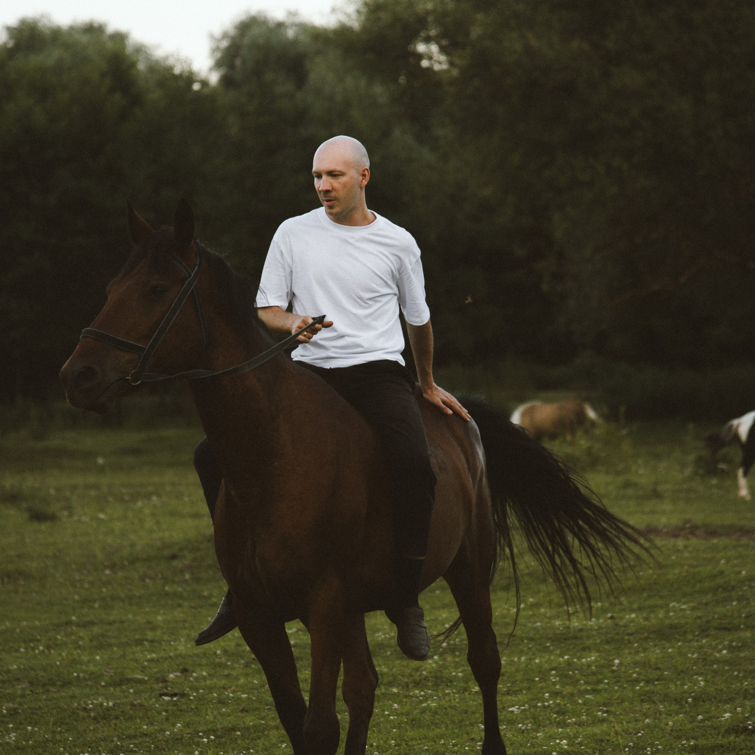 Юля & Макс. ФОТОГРАФ СЕРГЕЕВА МАРИЯ