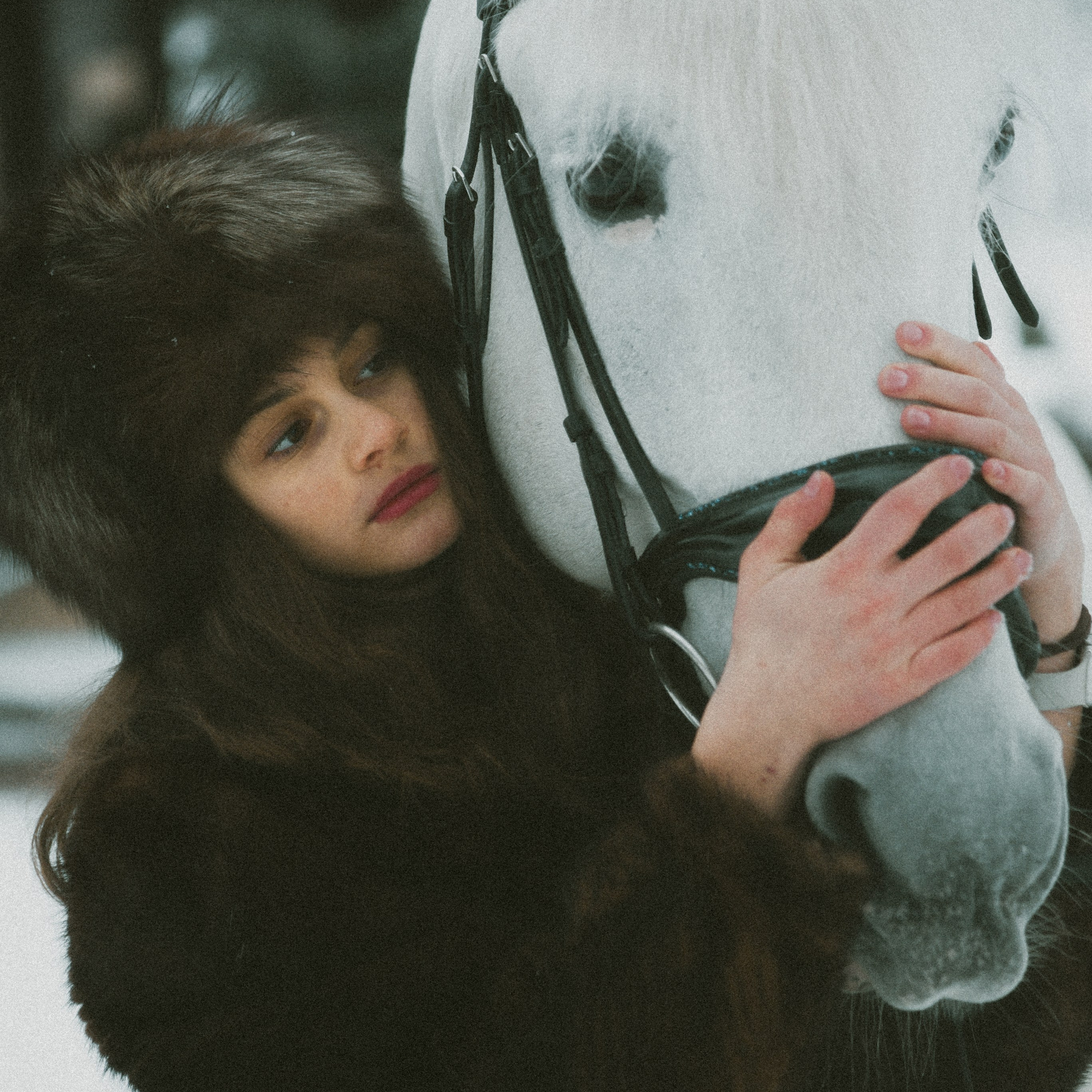 Анастасия зима с лошадьми. ФОТОГРАФ СЕРГЕЕВА МАРИЯ