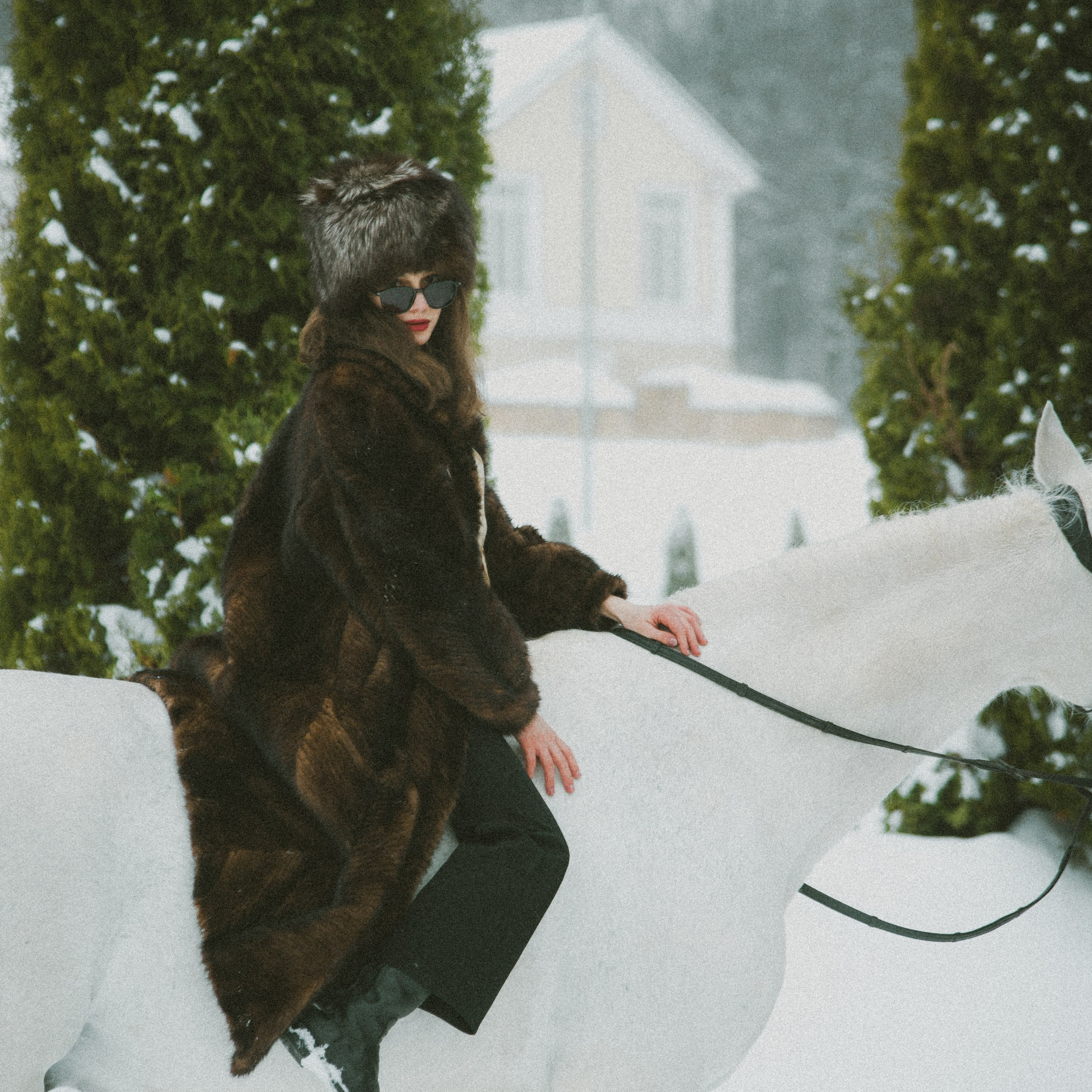 Анастасия зима с лошадьми. ФОТОГРАФ СЕРГЕЕВА МАРИЯ