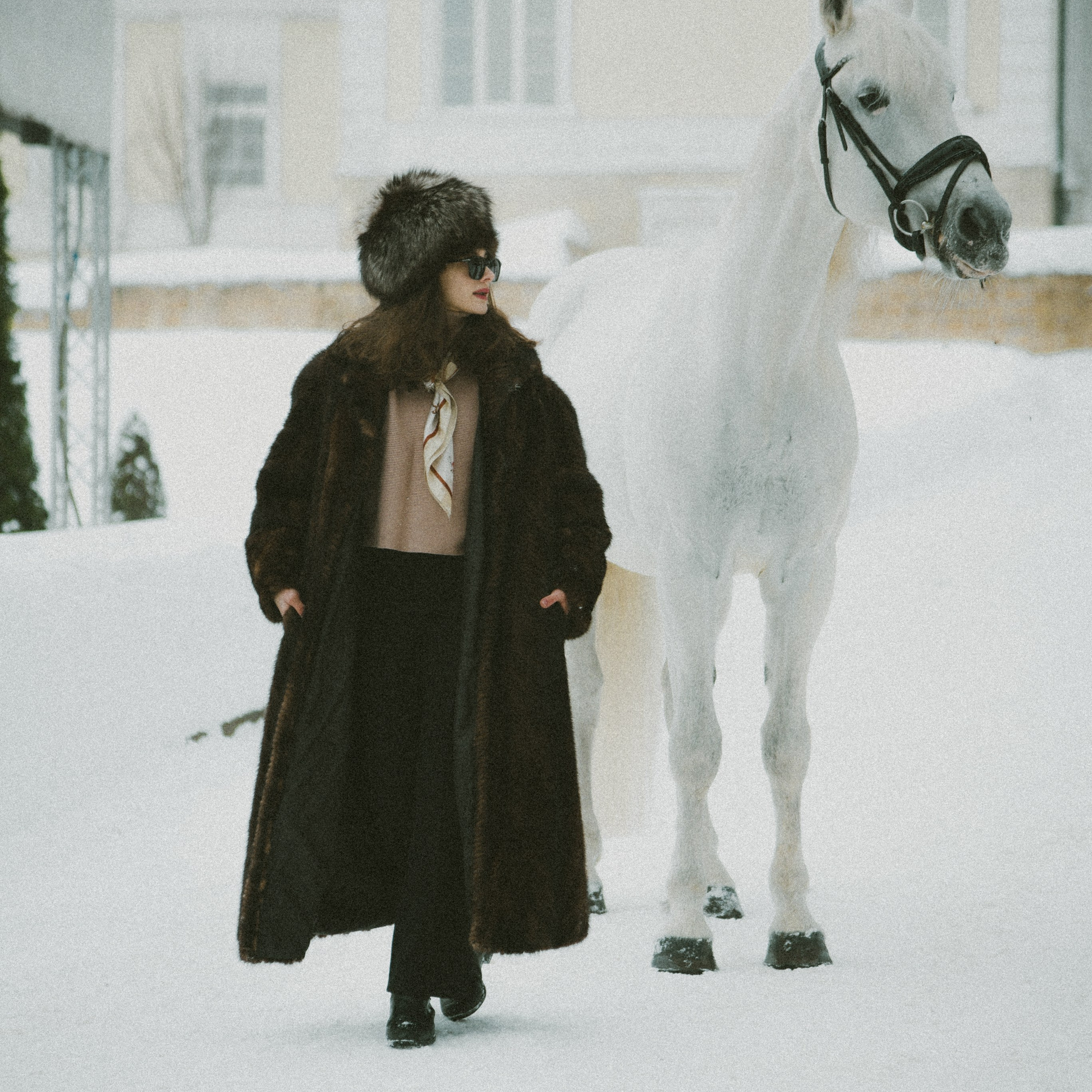 Анастасия зима с лошадьми. ФОТОГРАФ СЕРГЕЕВА МАРИЯ