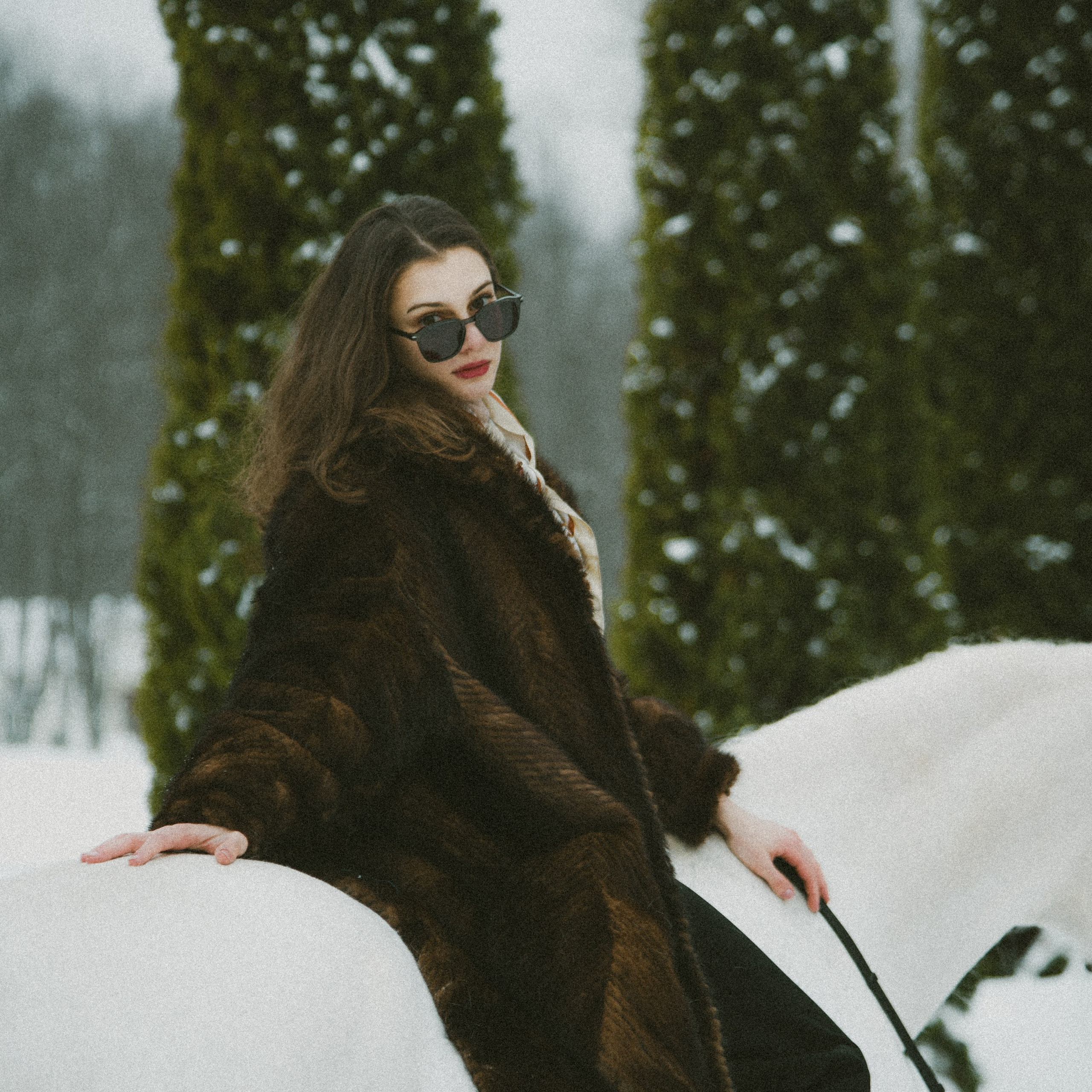 Анастасия зима с лошадьми. ФОТОГРАФ СЕРГЕЕВА МАРИЯ