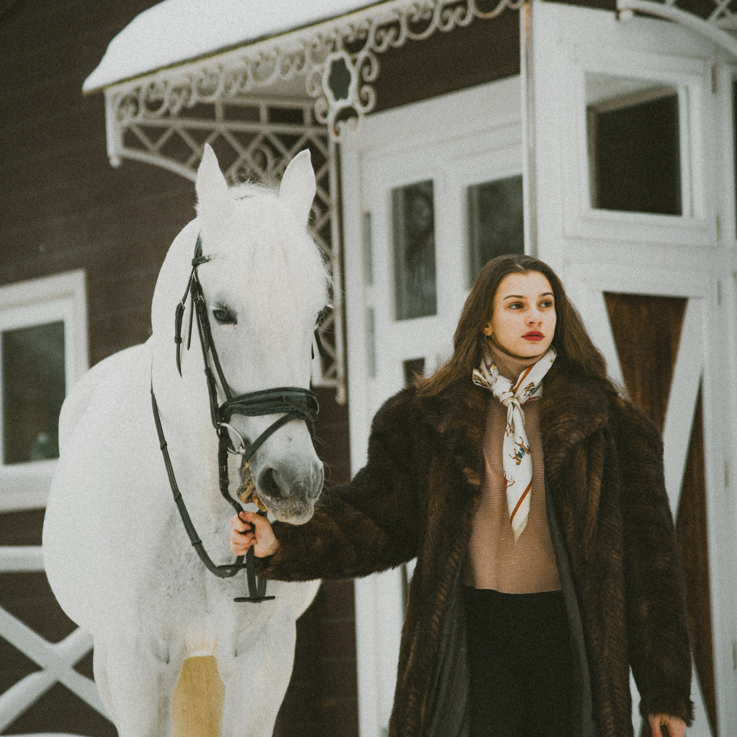 Анастасия зима с лошадьми. ФОТОГРАФ СЕРГЕЕВА МАРИЯ