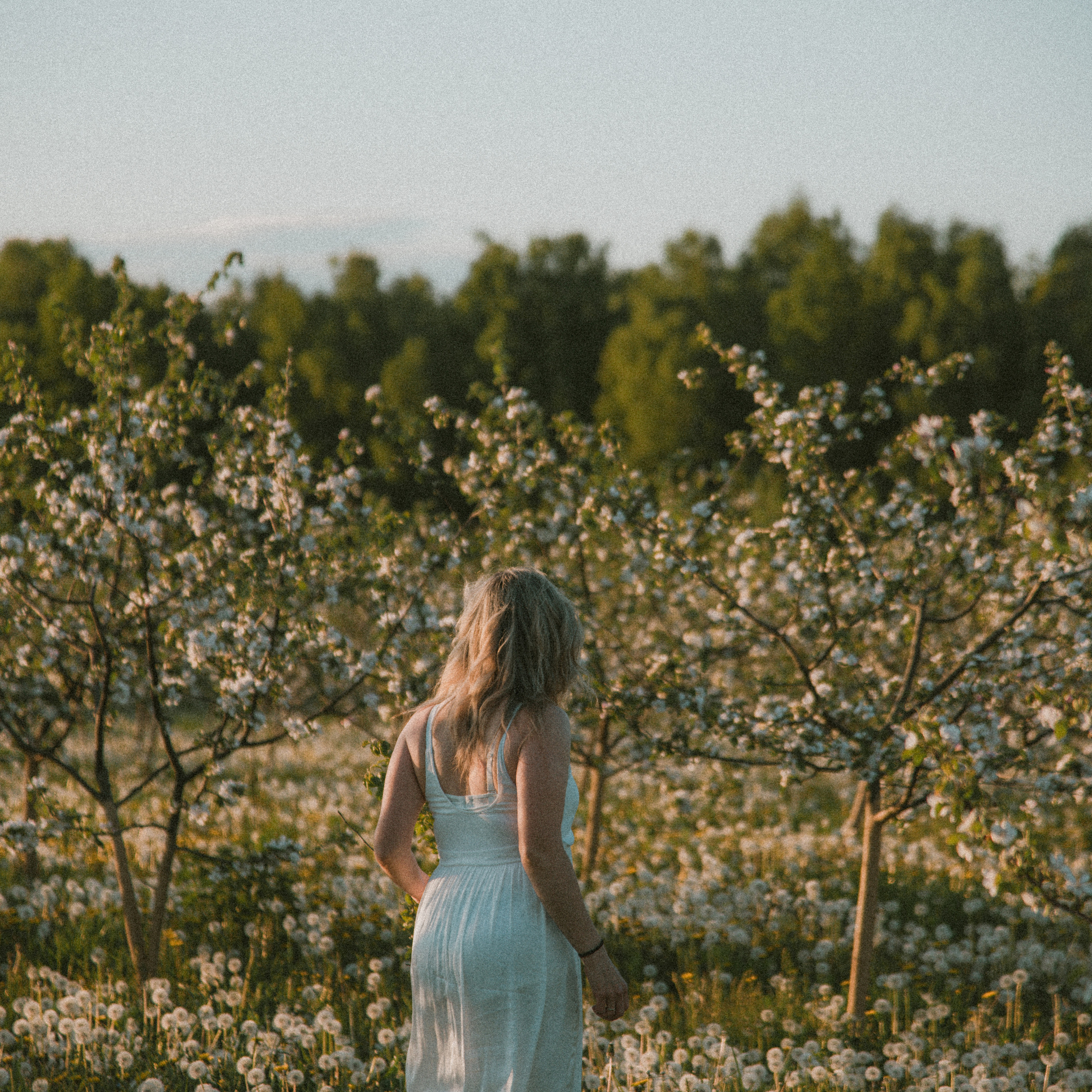 Алёнушка. ФОТОГРАФ СЕРГЕЕВА МАРИЯ
