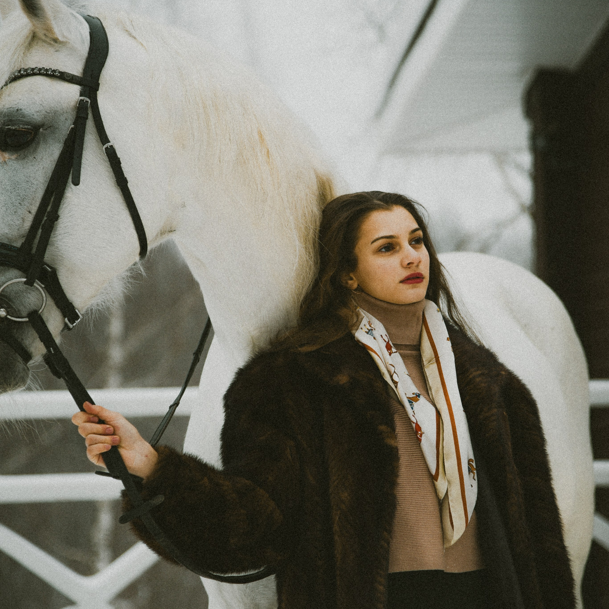 Анастасия зима с лошадьми. ФОТОГРАФ СЕРГЕЕВА МАРИЯ