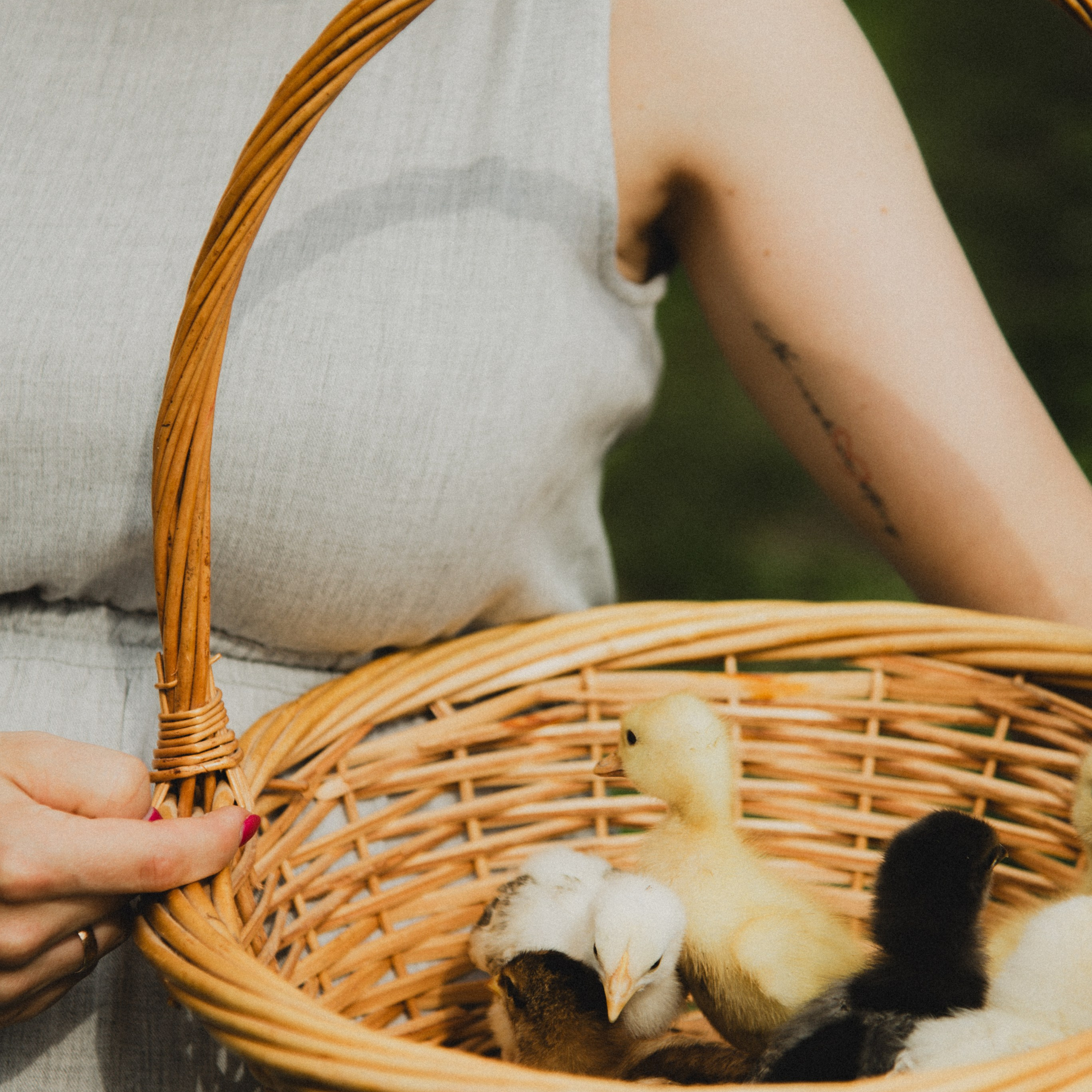 Лена & Ваня. ФОТОГРАФ СЕРГЕЕВА МАРИЯ