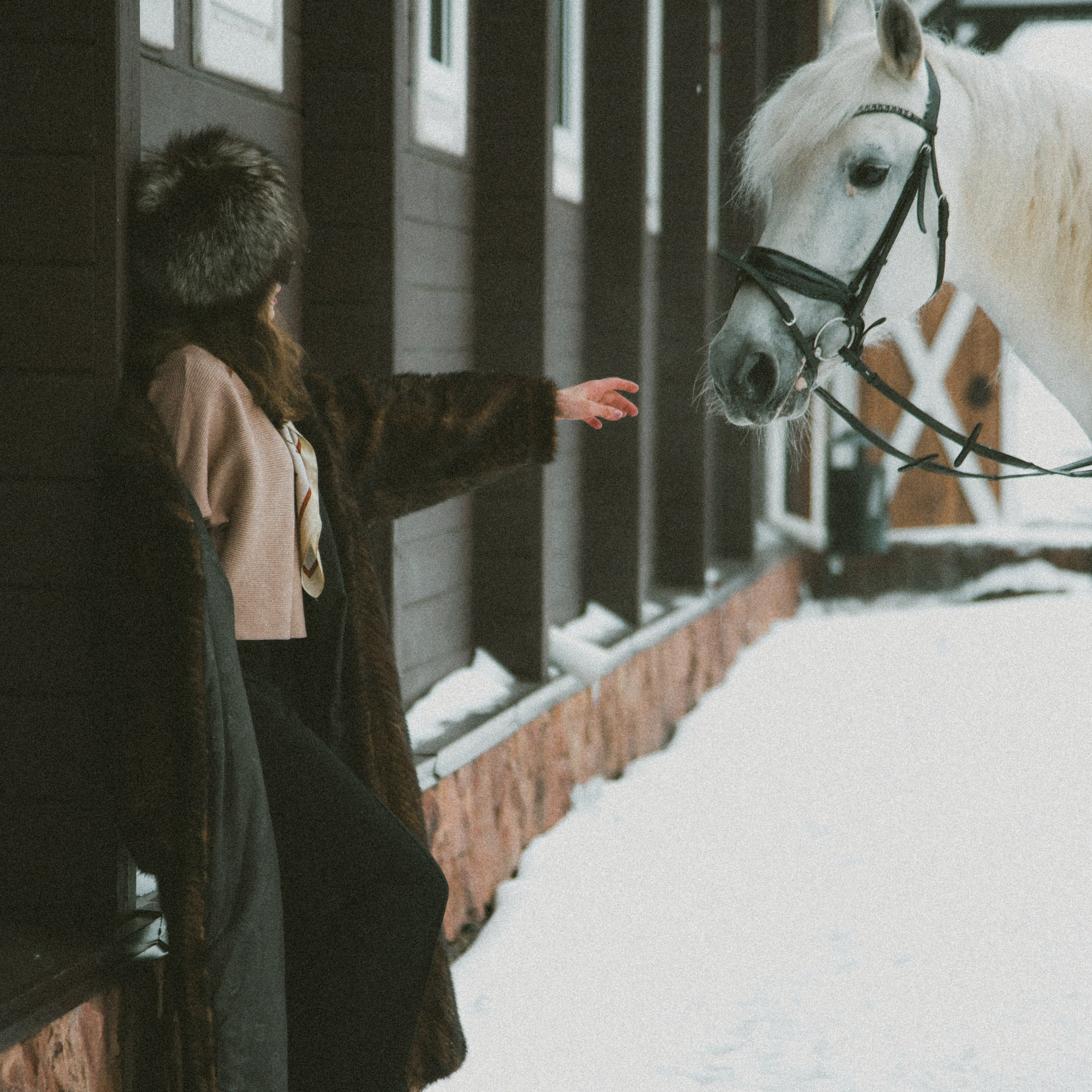 Анастасия зима с лошадьми. ФОТОГРАФ СЕРГЕЕВА МАРИЯ