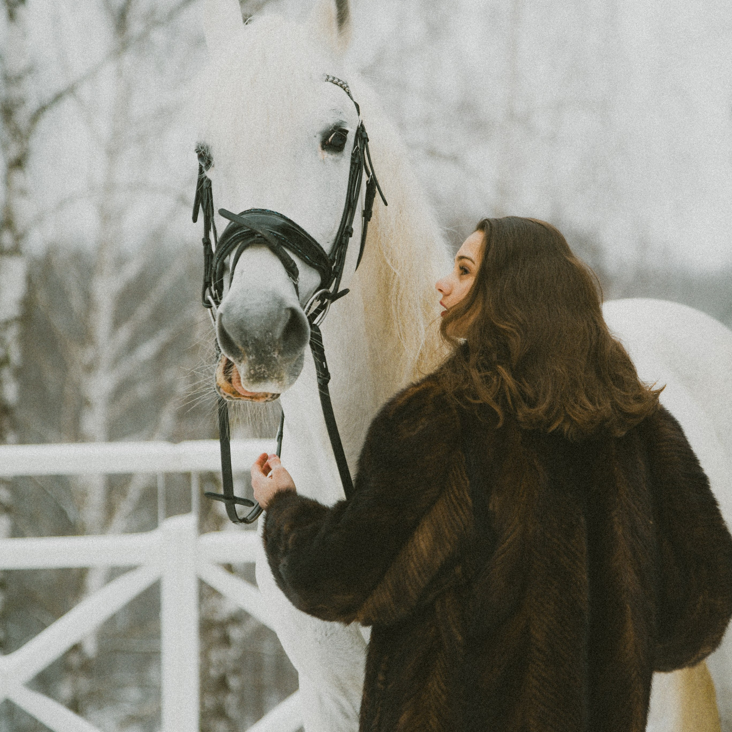 Анастасия зима с лошадьми. ФОТОГРАФ СЕРГЕЕВА МАРИЯ