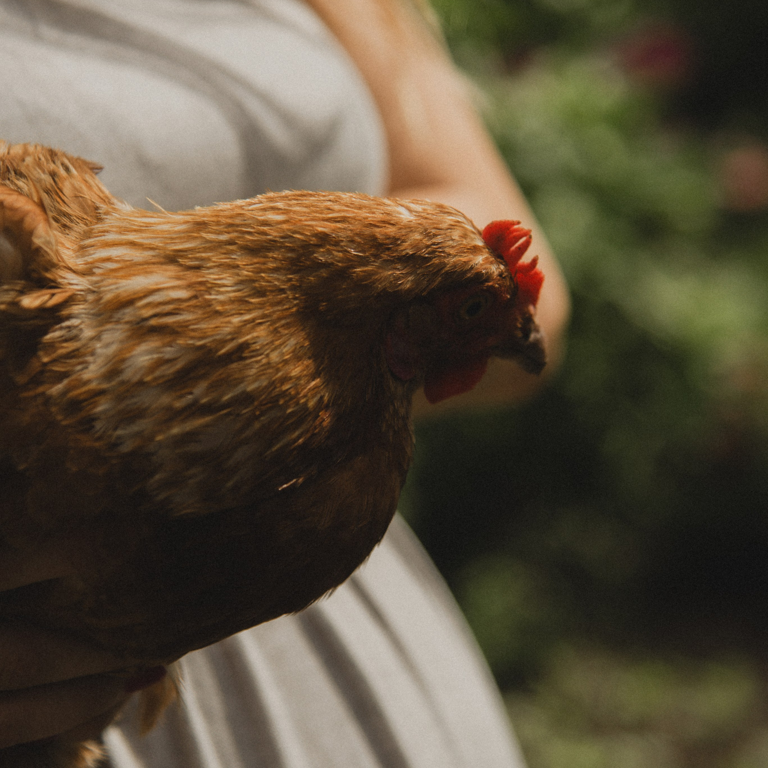 Лена & Ваня. ФОТОГРАФ СЕРГЕЕВА МАРИЯ