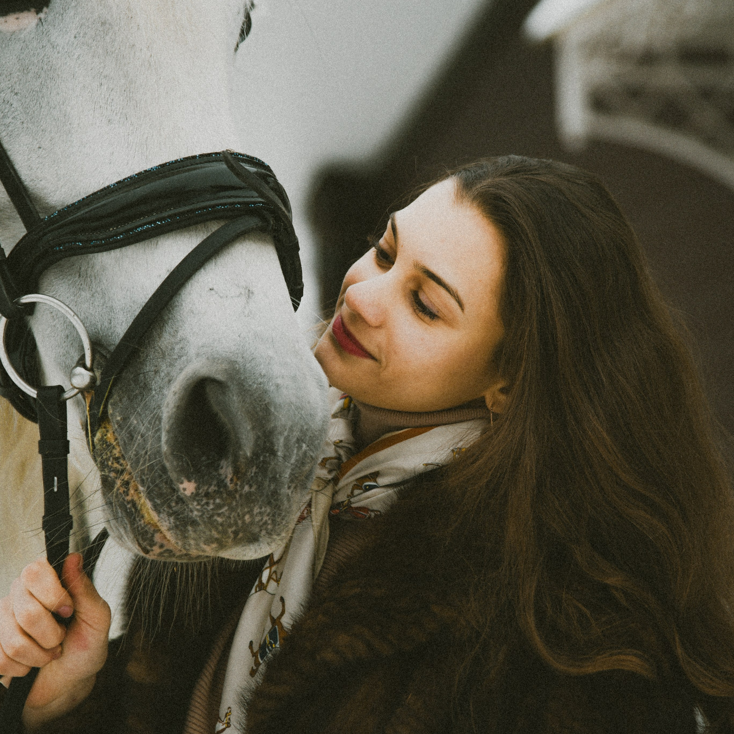 Анастасия зима с лошадьми. ФОТОГРАФ СЕРГЕЕВА МАРИЯ