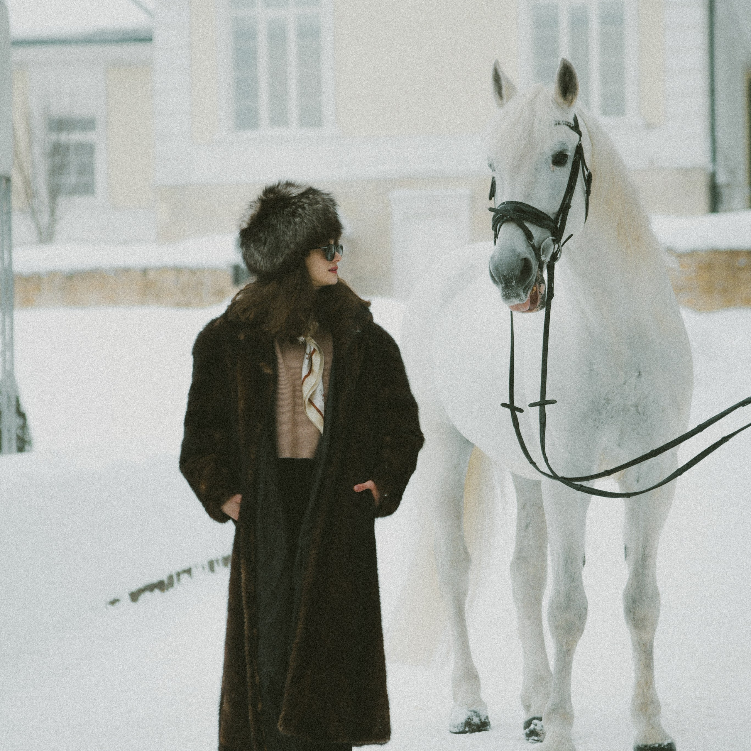 Анастасия зима с лошадьми. ФОТОГРАФ СЕРГЕЕВА МАРИЯ