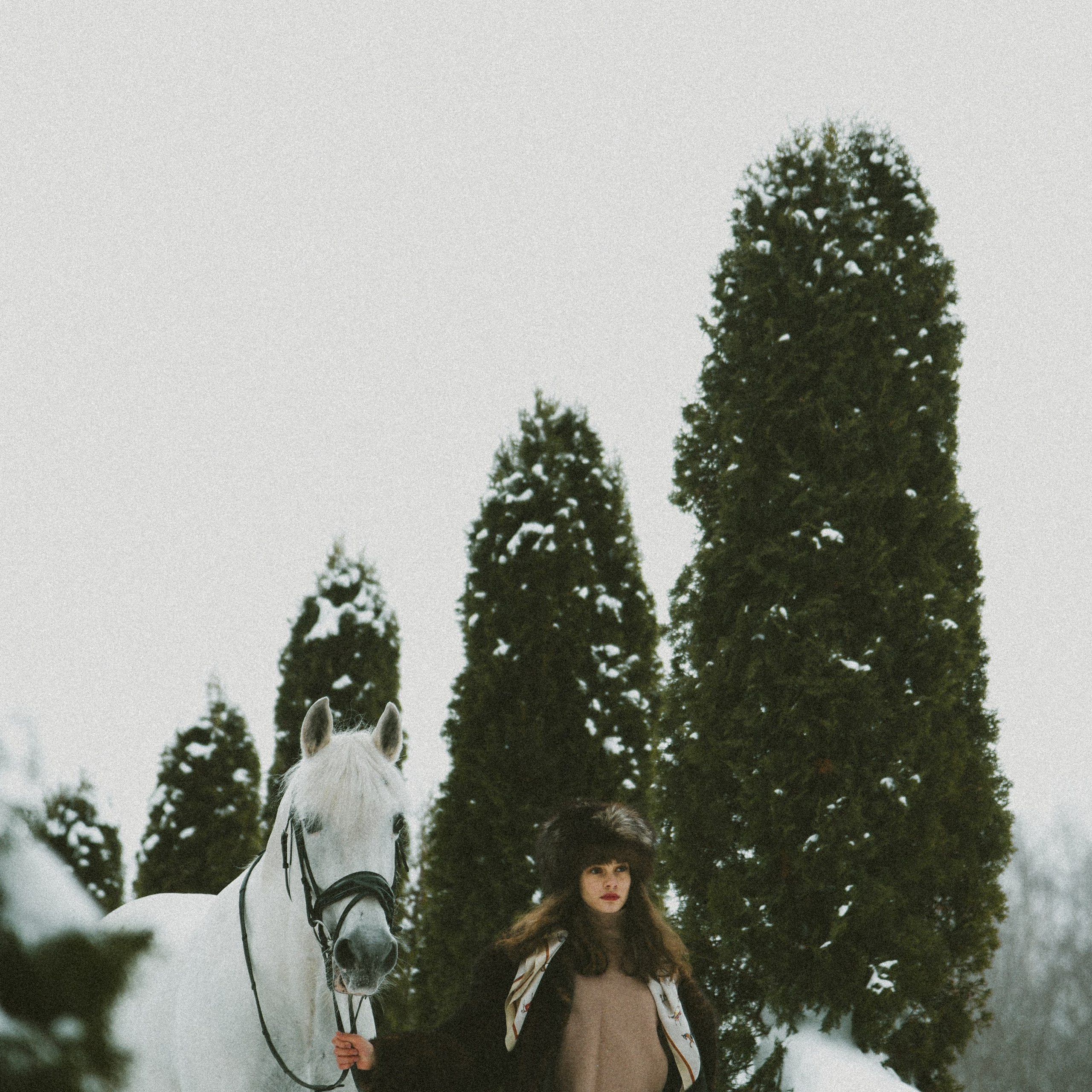 Анастасия зима с лошадьми. ФОТОГРАФ СЕРГЕЕВА МАРИЯ