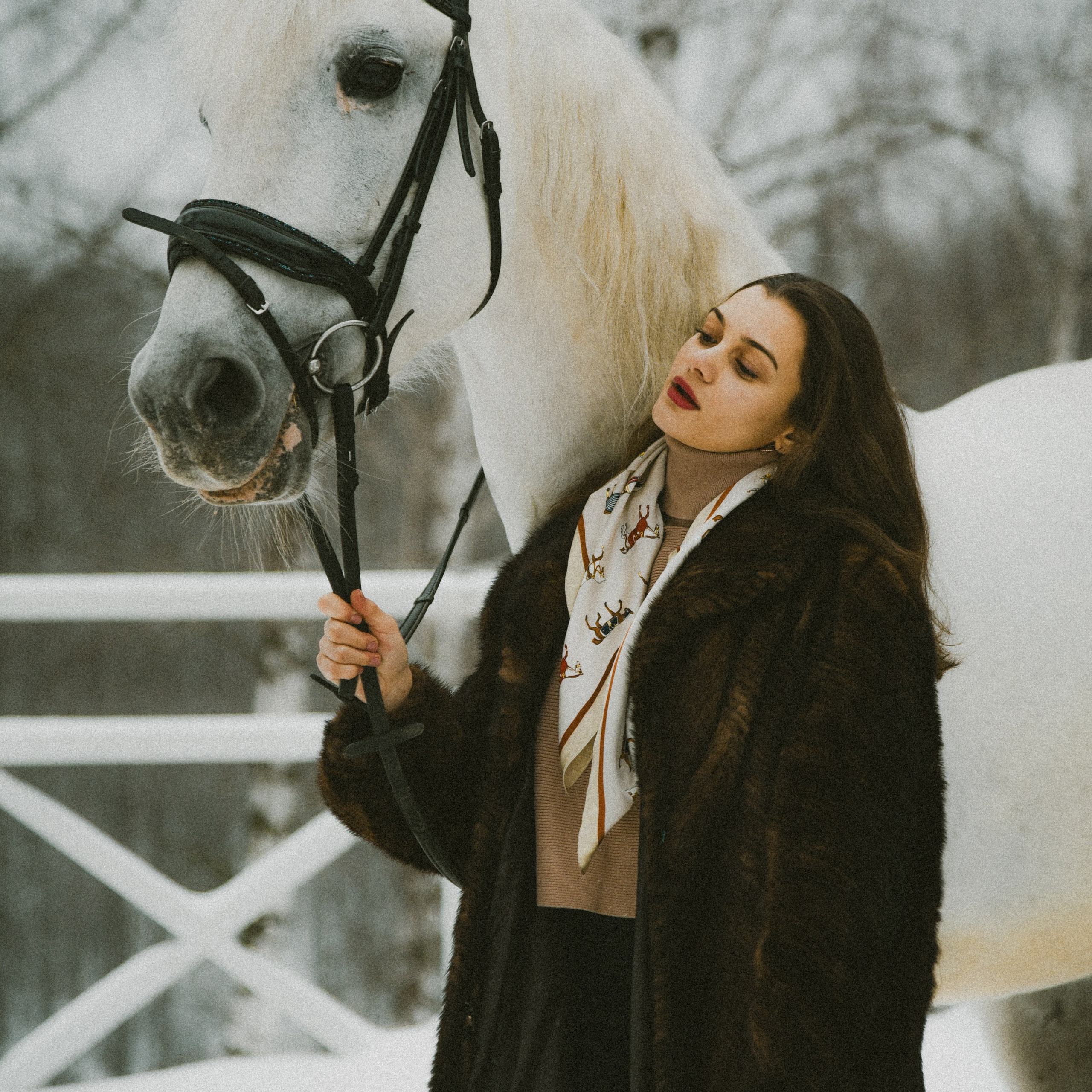 Анастасия зима с лошадьми. ФОТОГРАФ СЕРГЕЕВА МАРИЯ