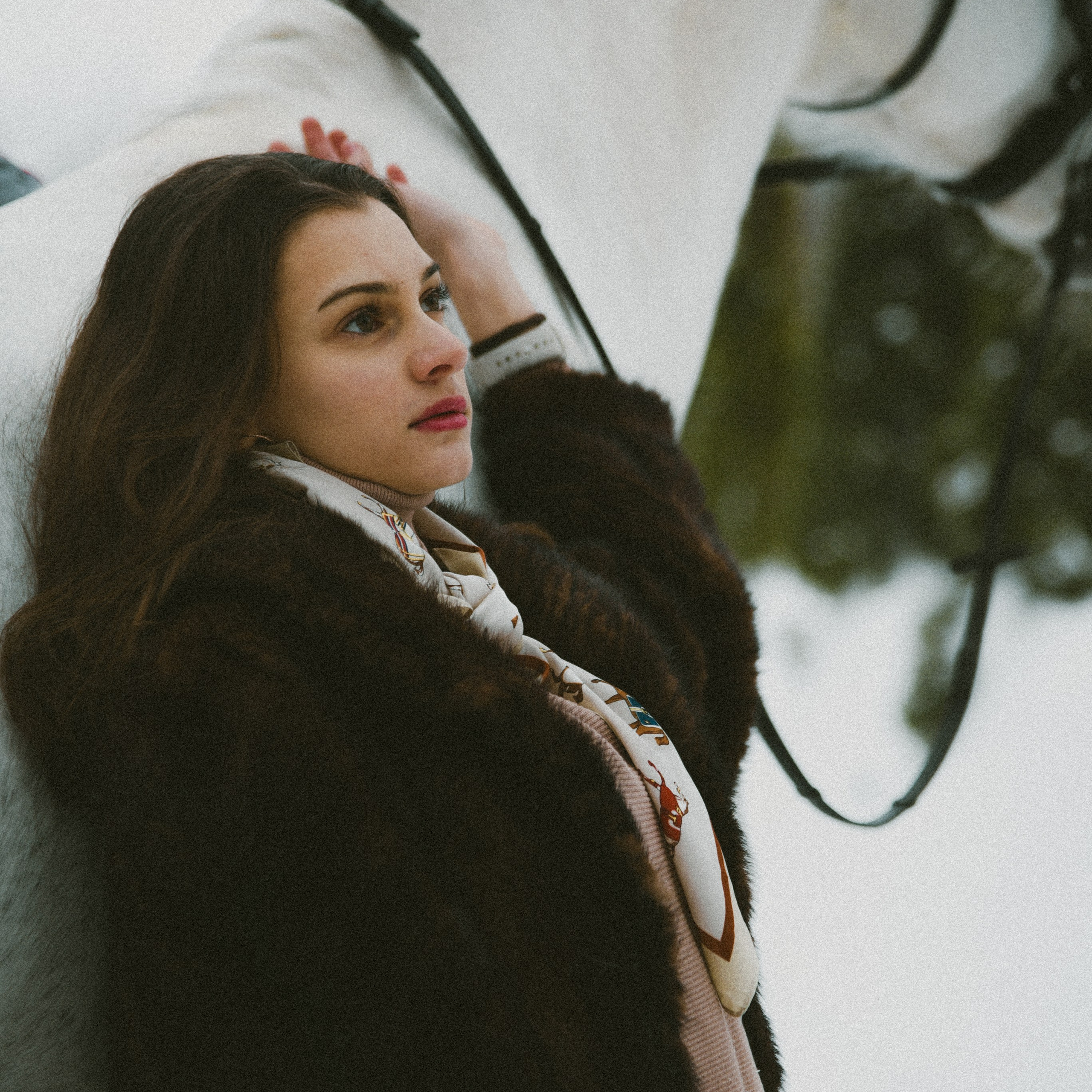 Анастасия зима с лошадьми. ФОТОГРАФ СЕРГЕЕВА МАРИЯ