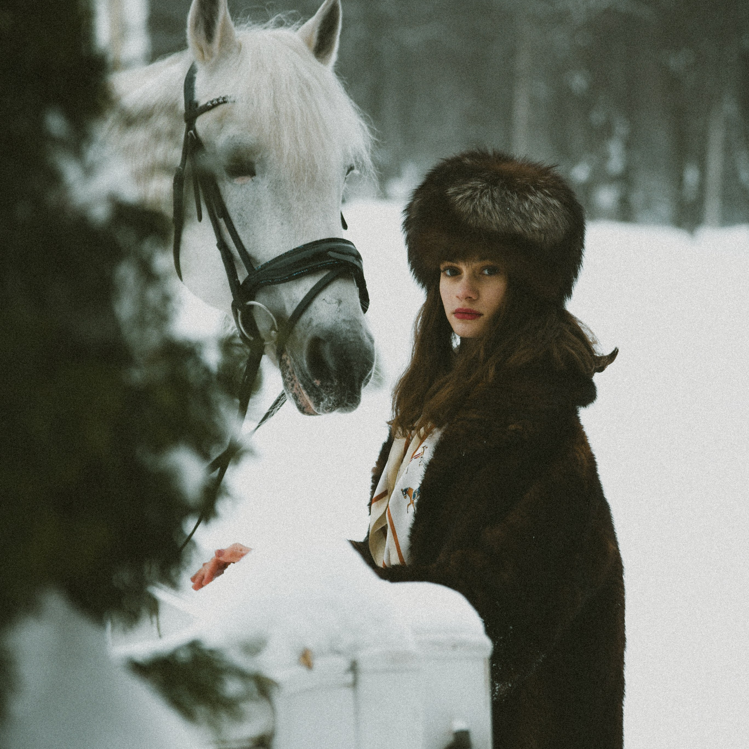 Анастасия зима с лошадьми. ФОТОГРАФ СЕРГЕЕВА МАРИЯ