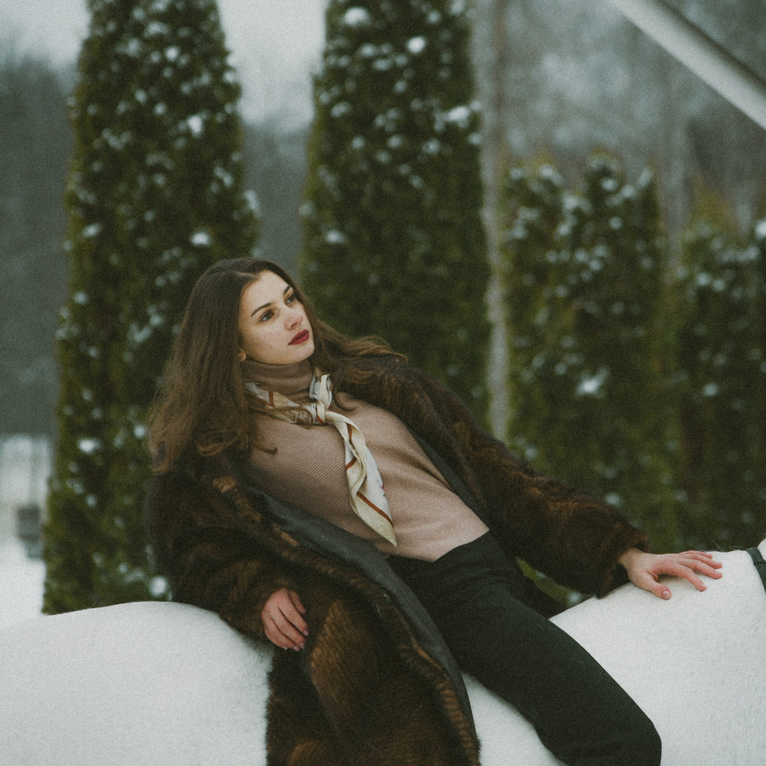 Анастасия зима с лошадьми. ФОТОГРАФ СЕРГЕЕВА МАРИЯ