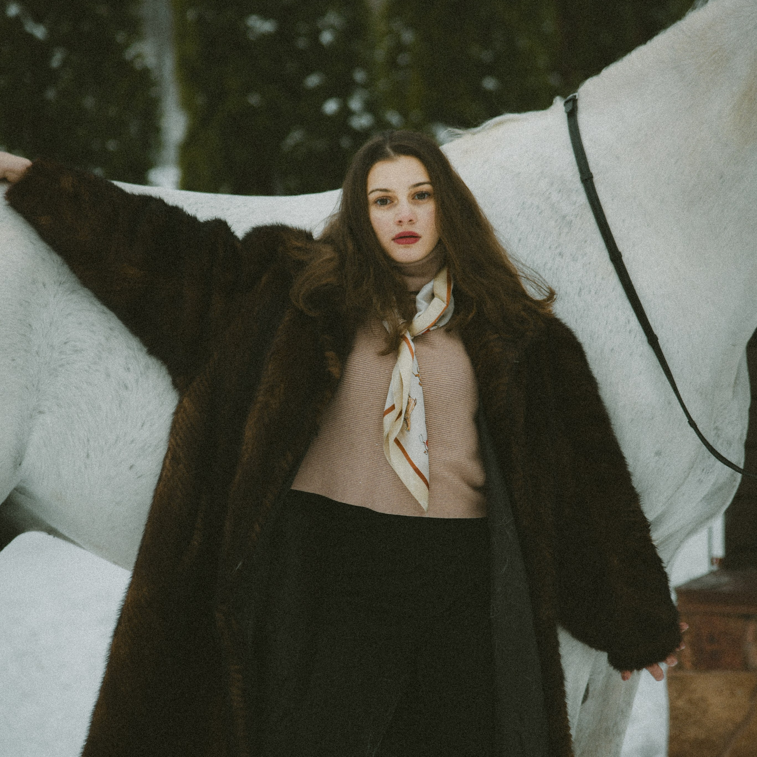 Анастасия зима с лошадьми. ФОТОГРАФ СЕРГЕЕВА МАРИЯ