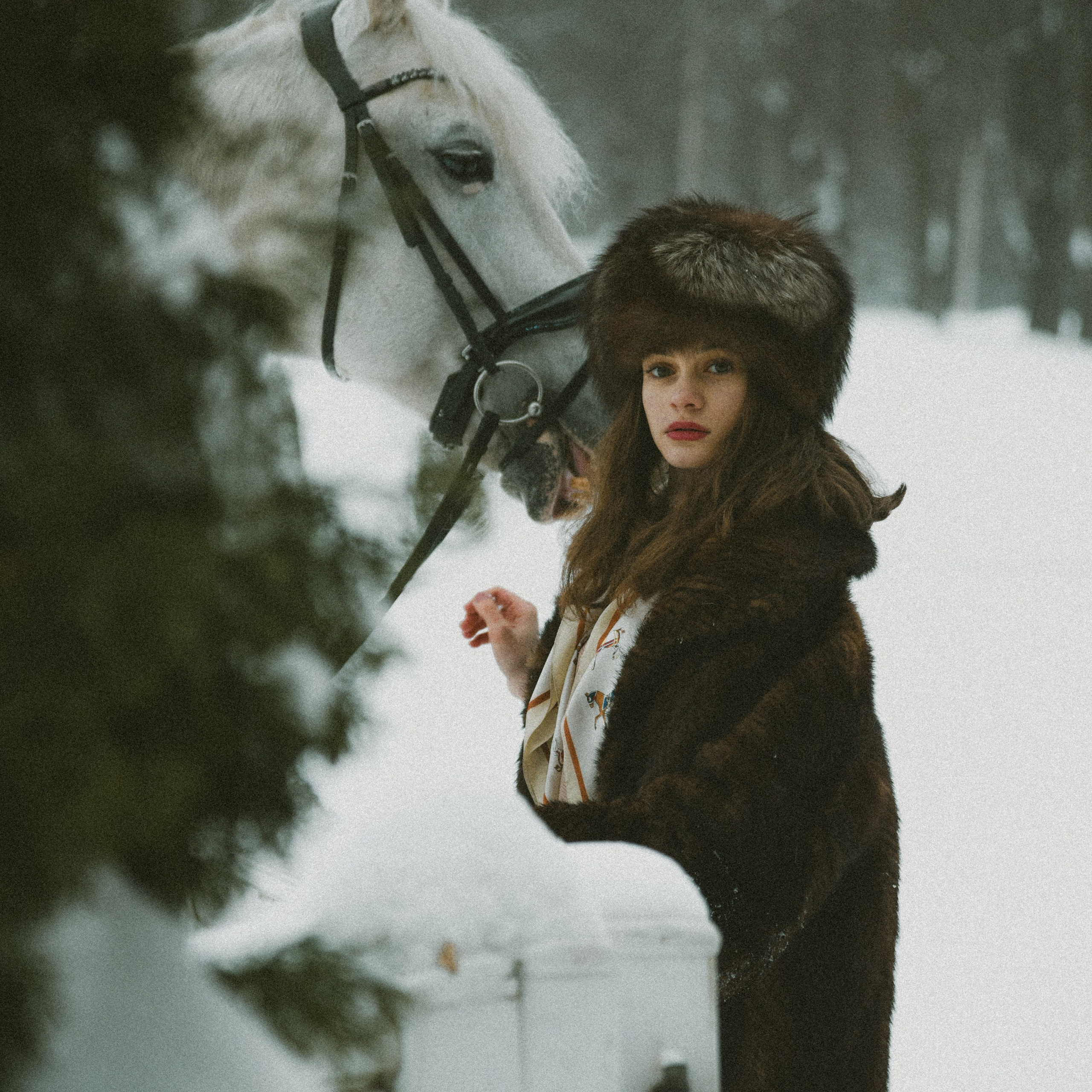 Анастасия зима с лошадьми. ФОТОГРАФ СЕРГЕЕВА МАРИЯ