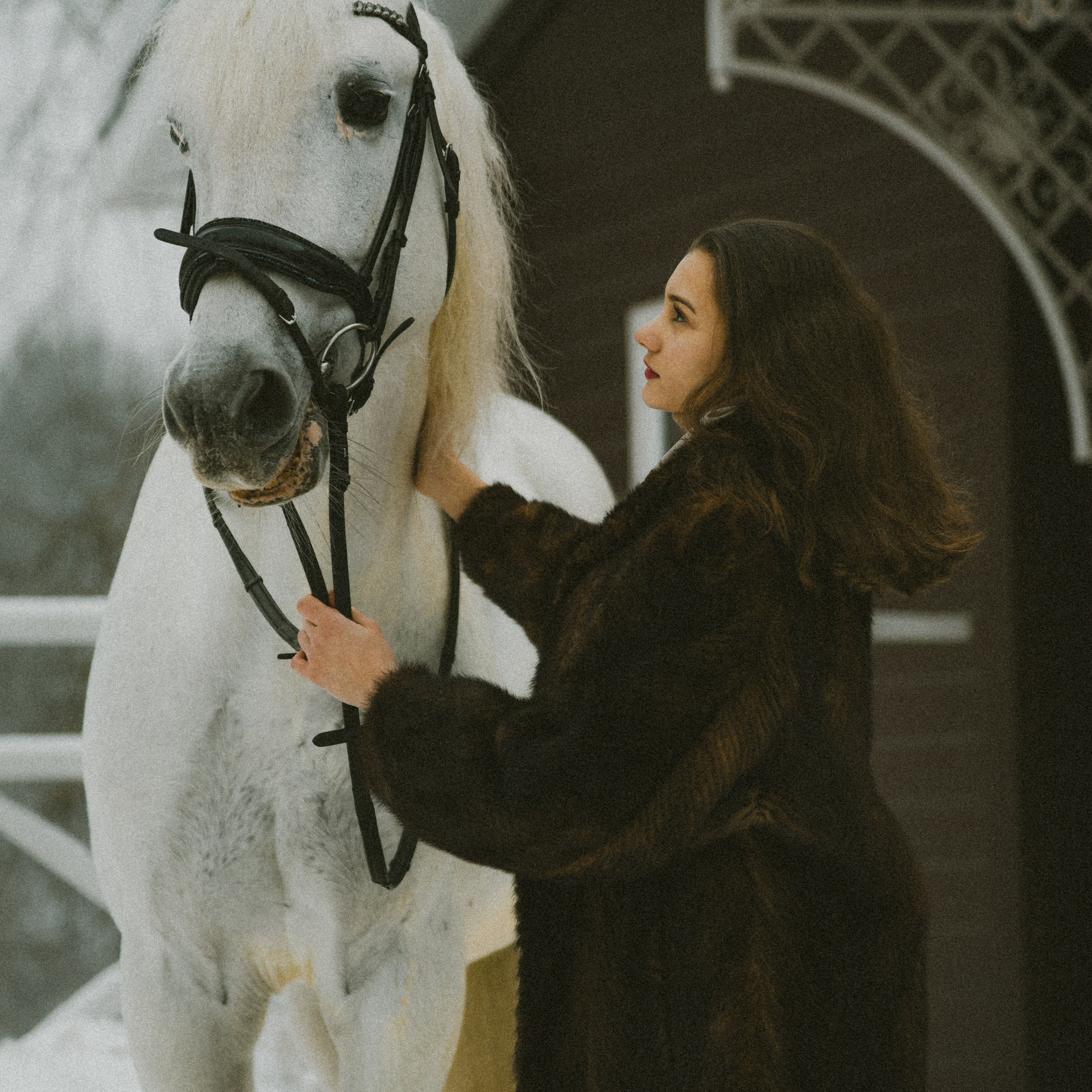 Анастасия зима с лошадьми. ФОТОГРАФ СЕРГЕЕВА МАРИЯ