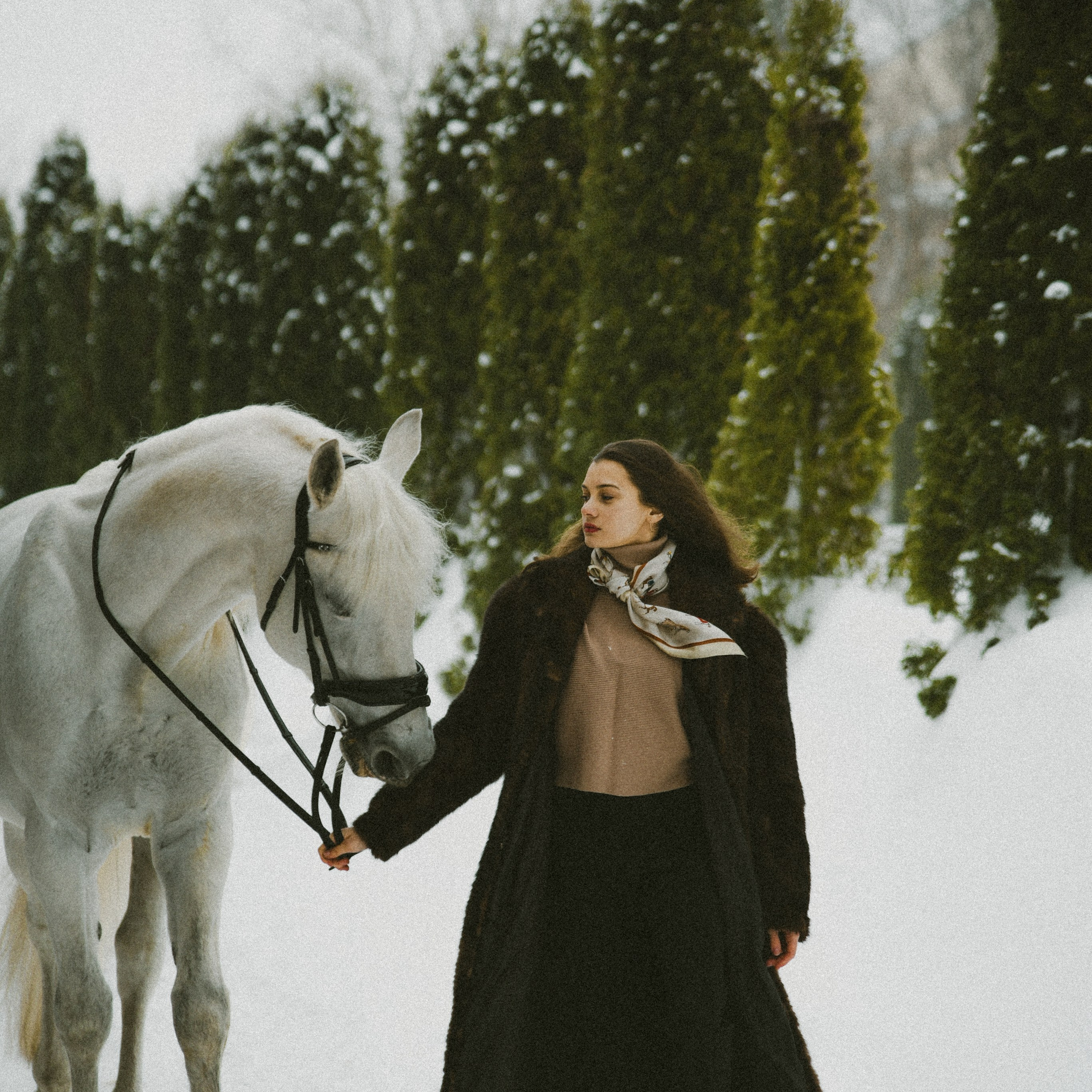 Анастасия зима с лошадьми. ФОТОГРАФ СЕРГЕЕВА МАРИЯ