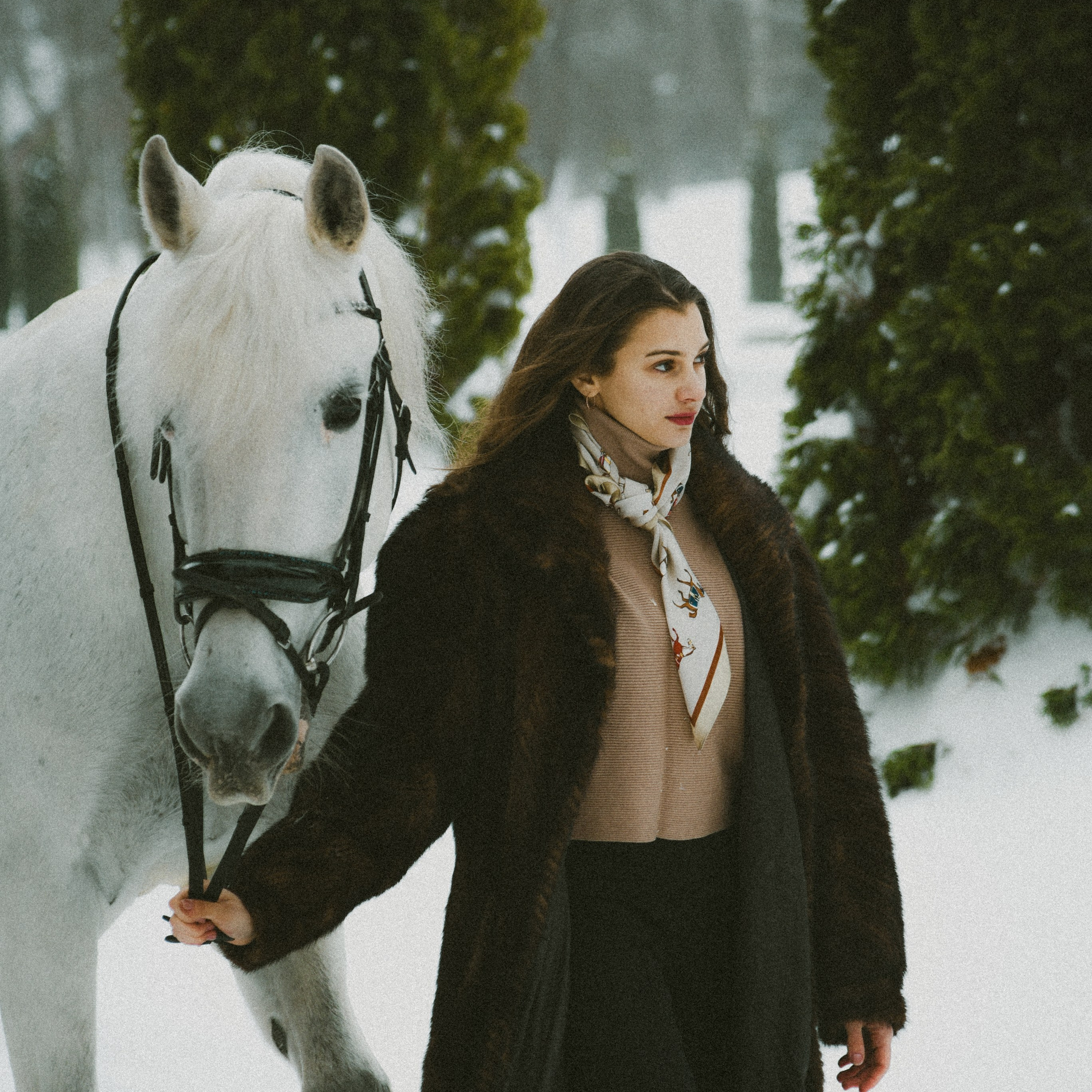 Анастасия зима с лошадьми. ФОТОГРАФ СЕРГЕЕВА МАРИЯ