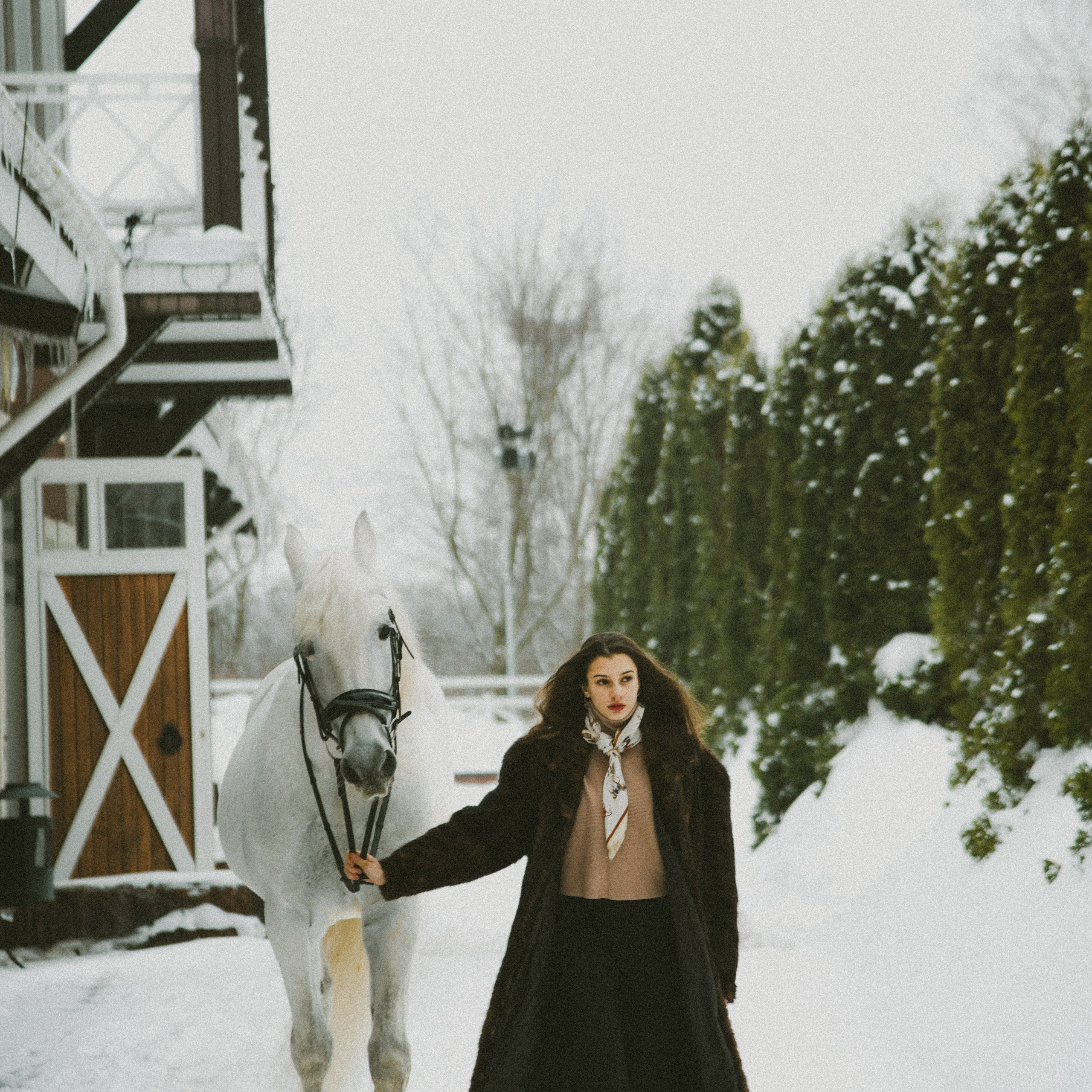 Анастасия зима с лошадьми. ФОТОГРАФ СЕРГЕЕВА МАРИЯ