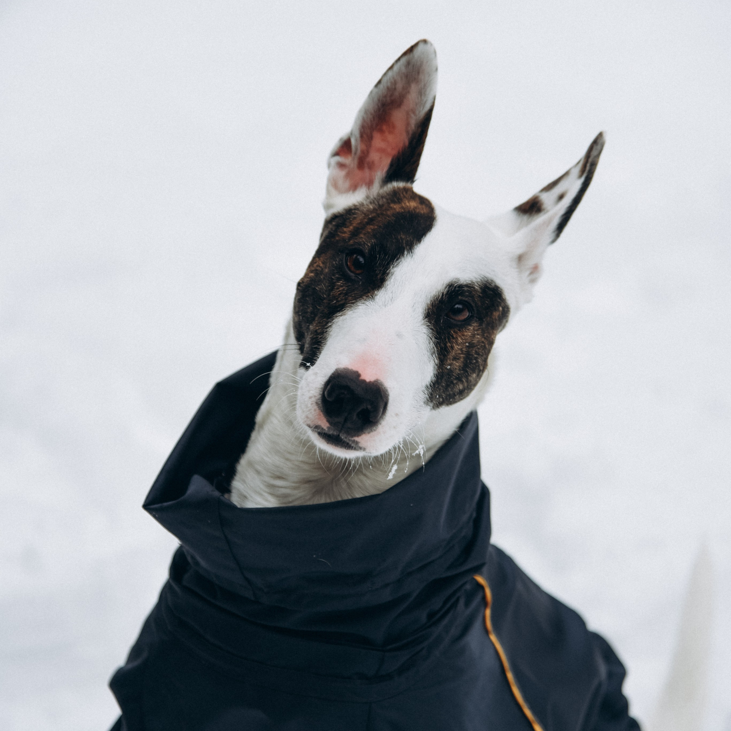 Вика Дима. ФОТОГРАФ СЕРГЕЕВА МАРИЯ