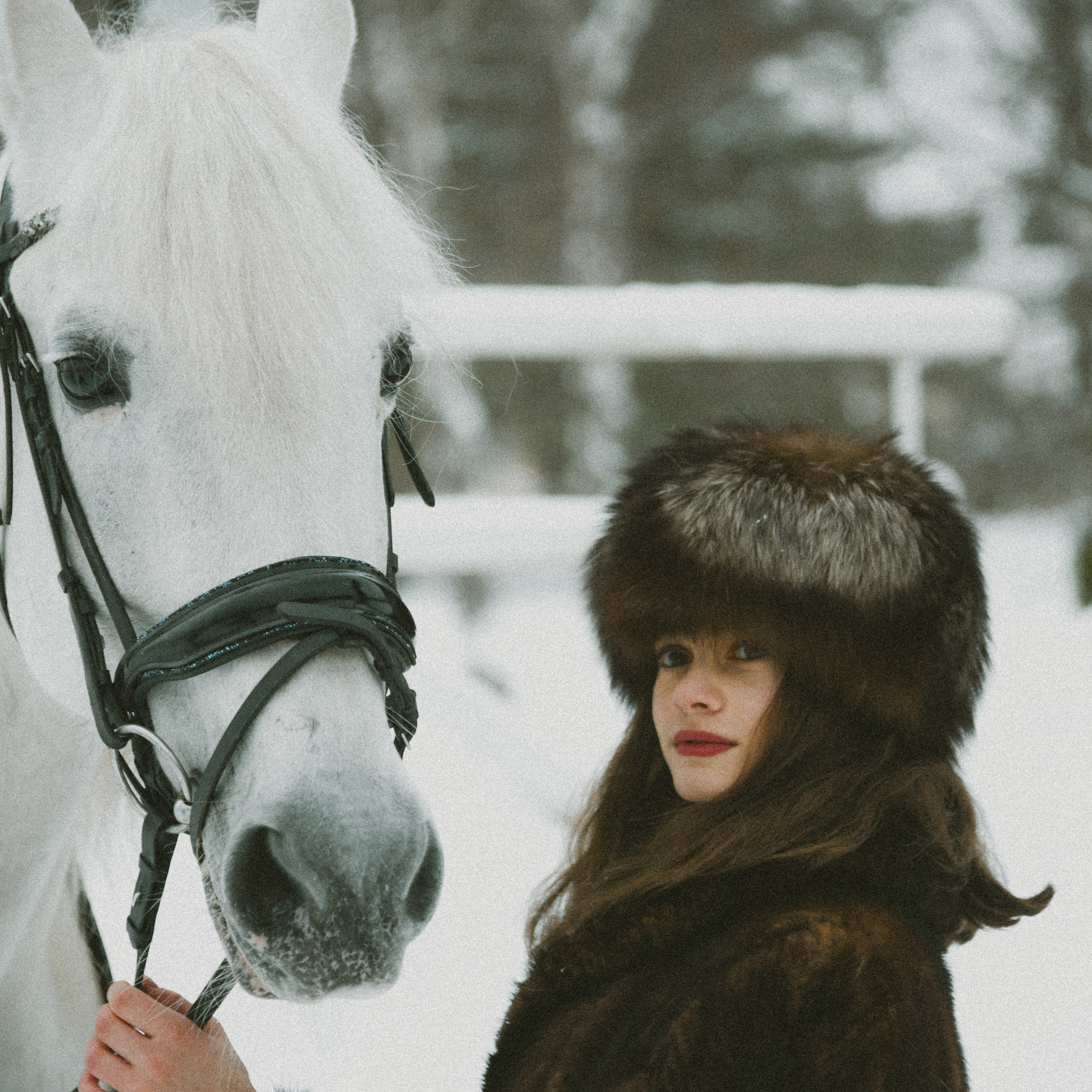 Анастасия зима с лошадьми. ФОТОГРАФ СЕРГЕЕВА МАРИЯ