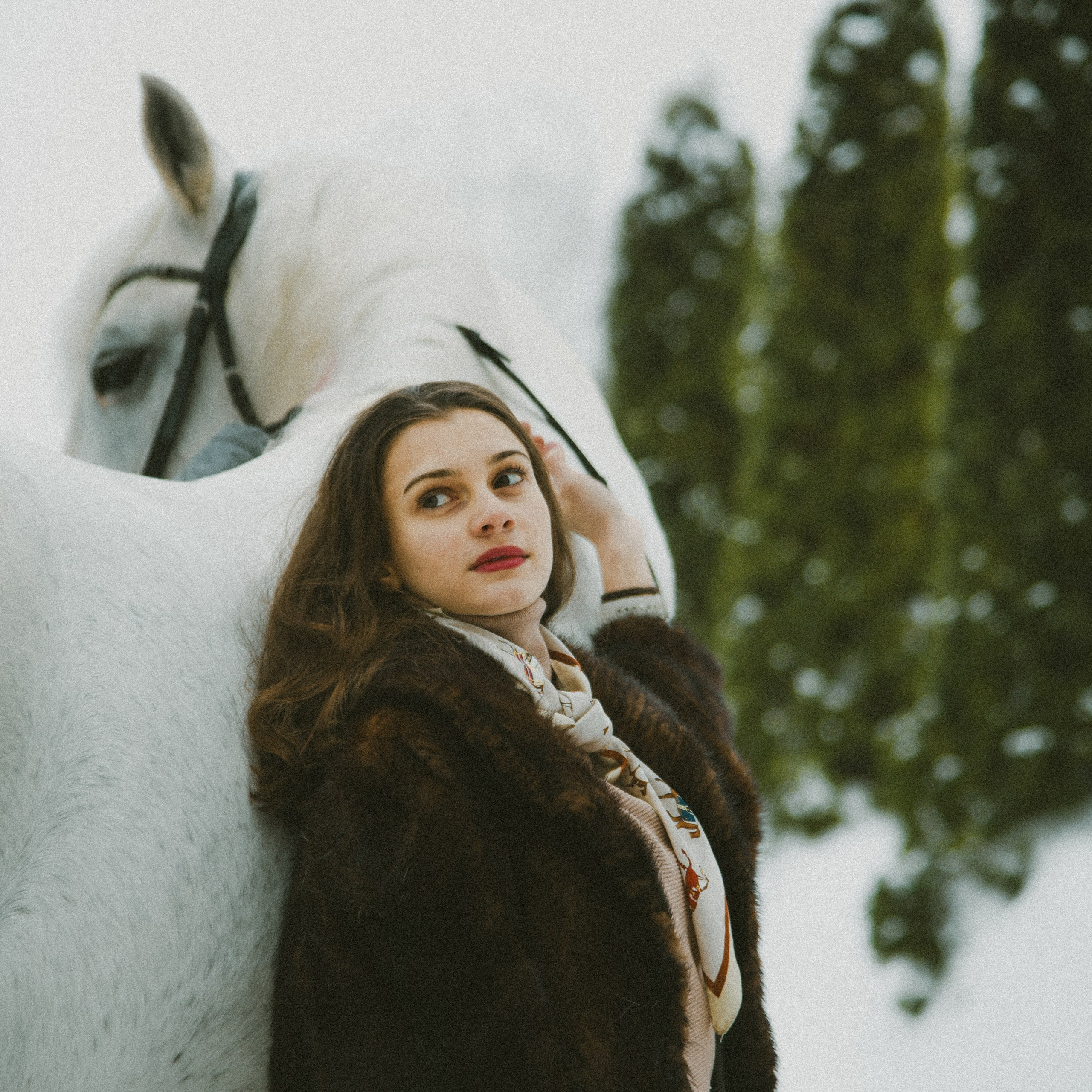 Анастасия зима с лошадьми. ФОТОГРАФ СЕРГЕЕВА МАРИЯ