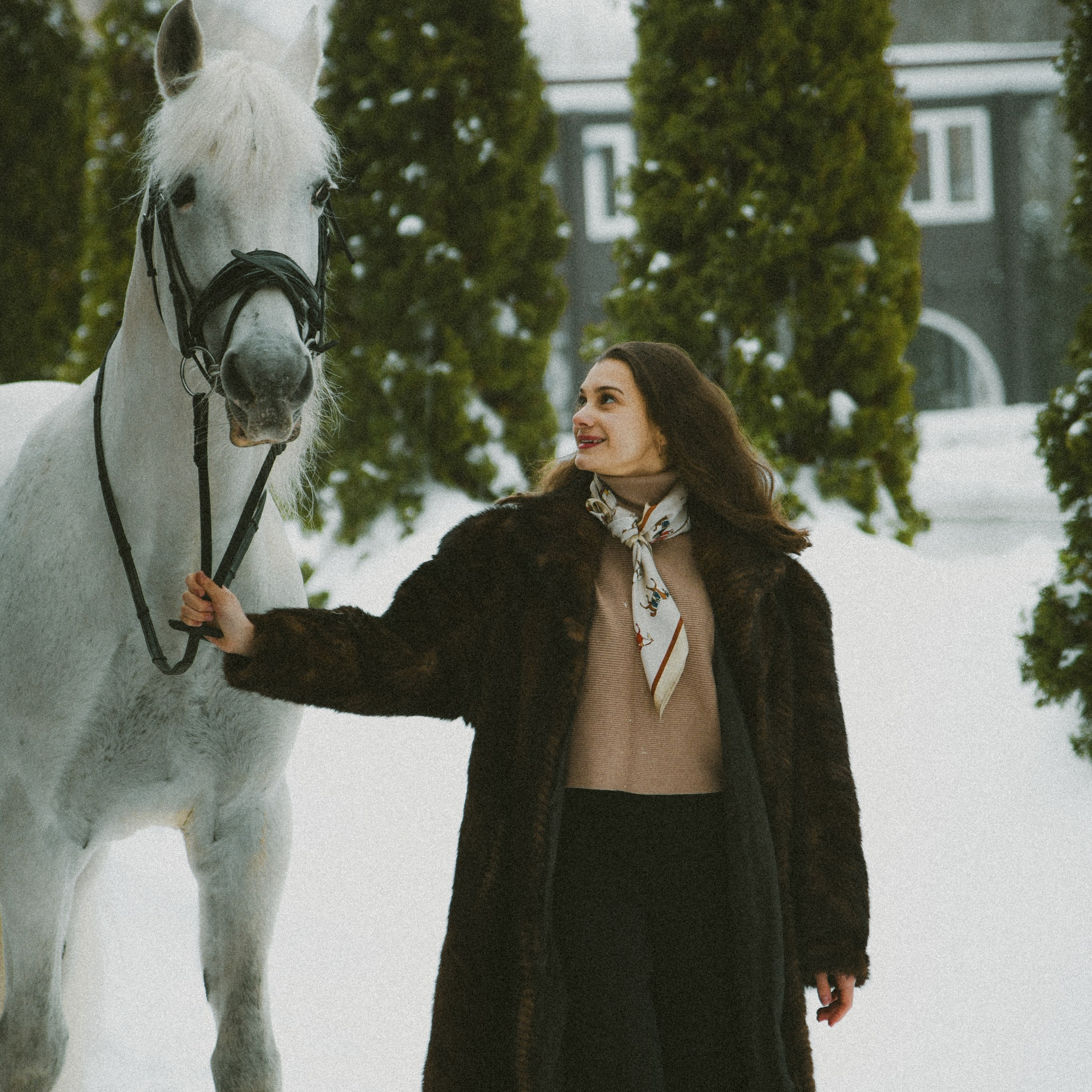 Анастасия зима с лошадьми. ФОТОГРАФ СЕРГЕЕВА МАРИЯ