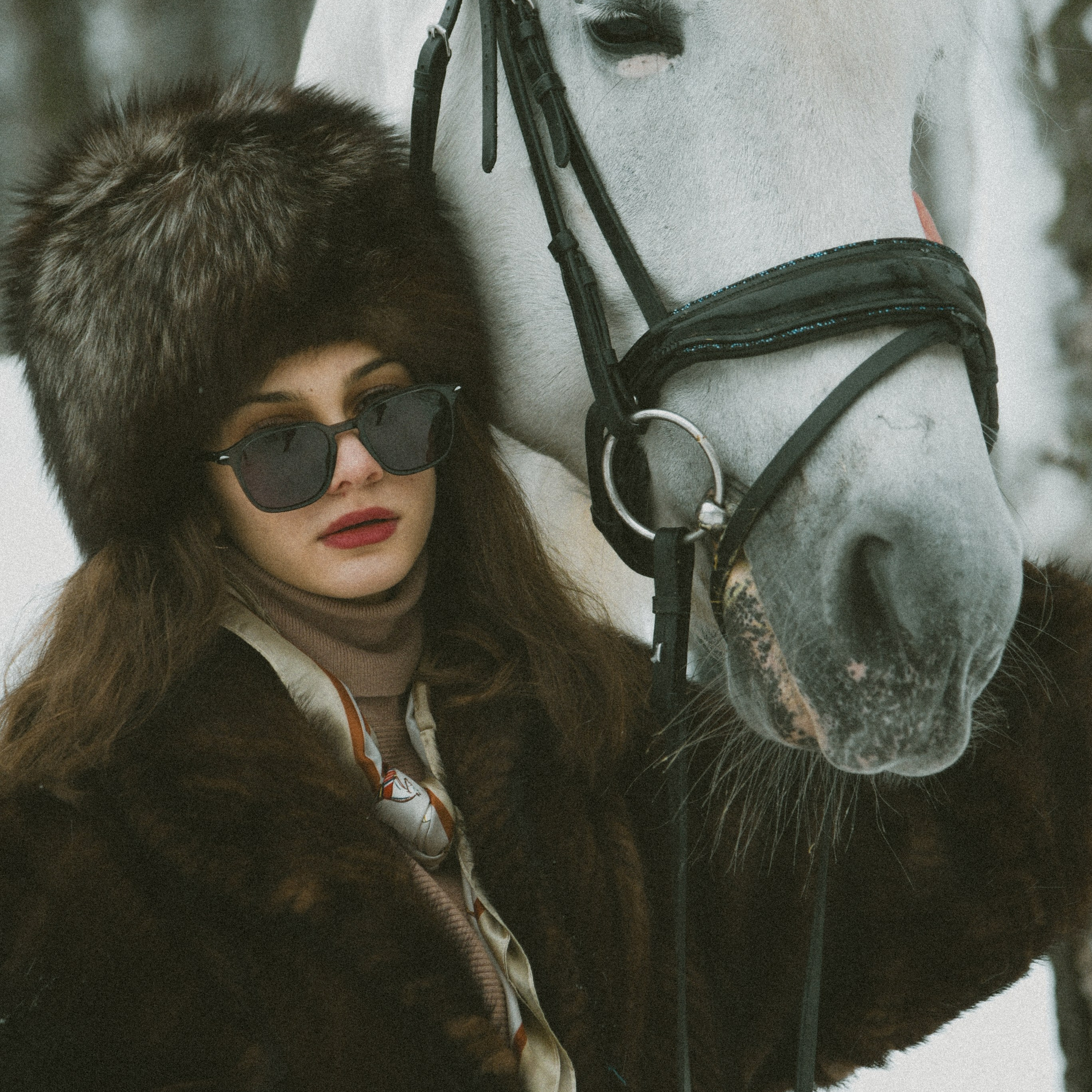 Анастасия зима с лошадьми. ФОТОГРАФ СЕРГЕЕВА МАРИЯ