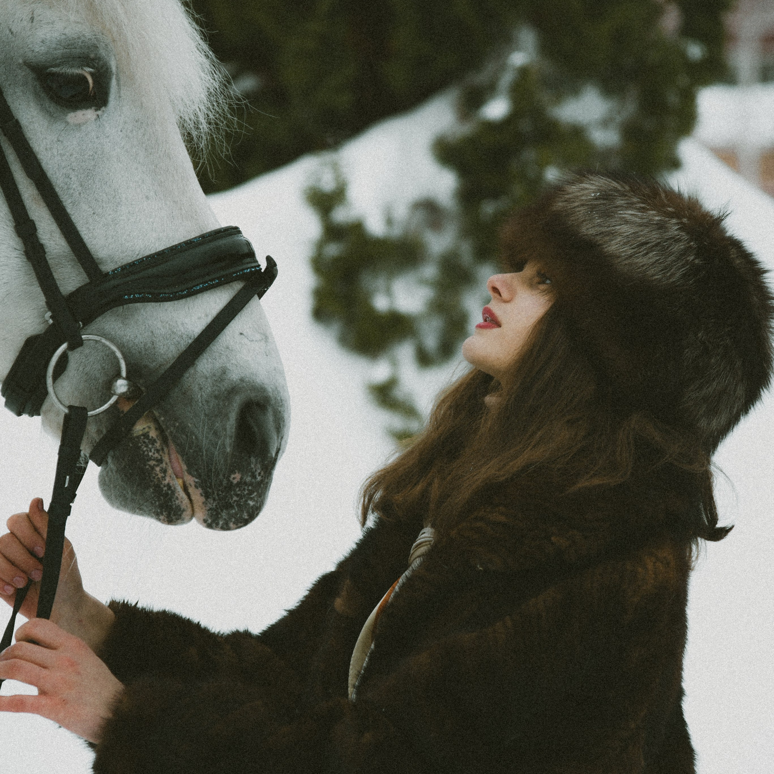 Анастасия зима с лошадьми. ФОТОГРАФ СЕРГЕЕВА МАРИЯ