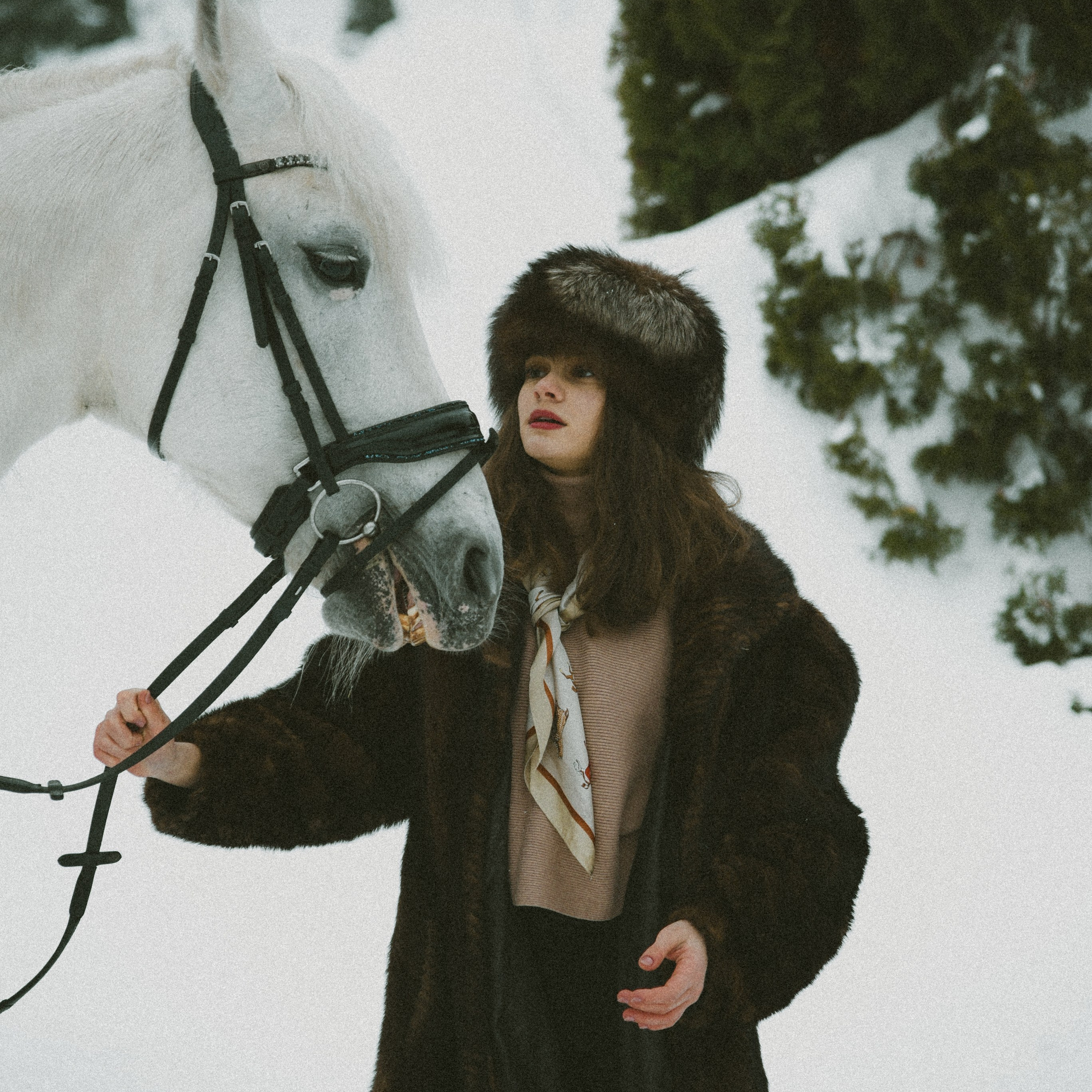 Анастасия зима с лошадьми. ФОТОГРАФ СЕРГЕЕВА МАРИЯ