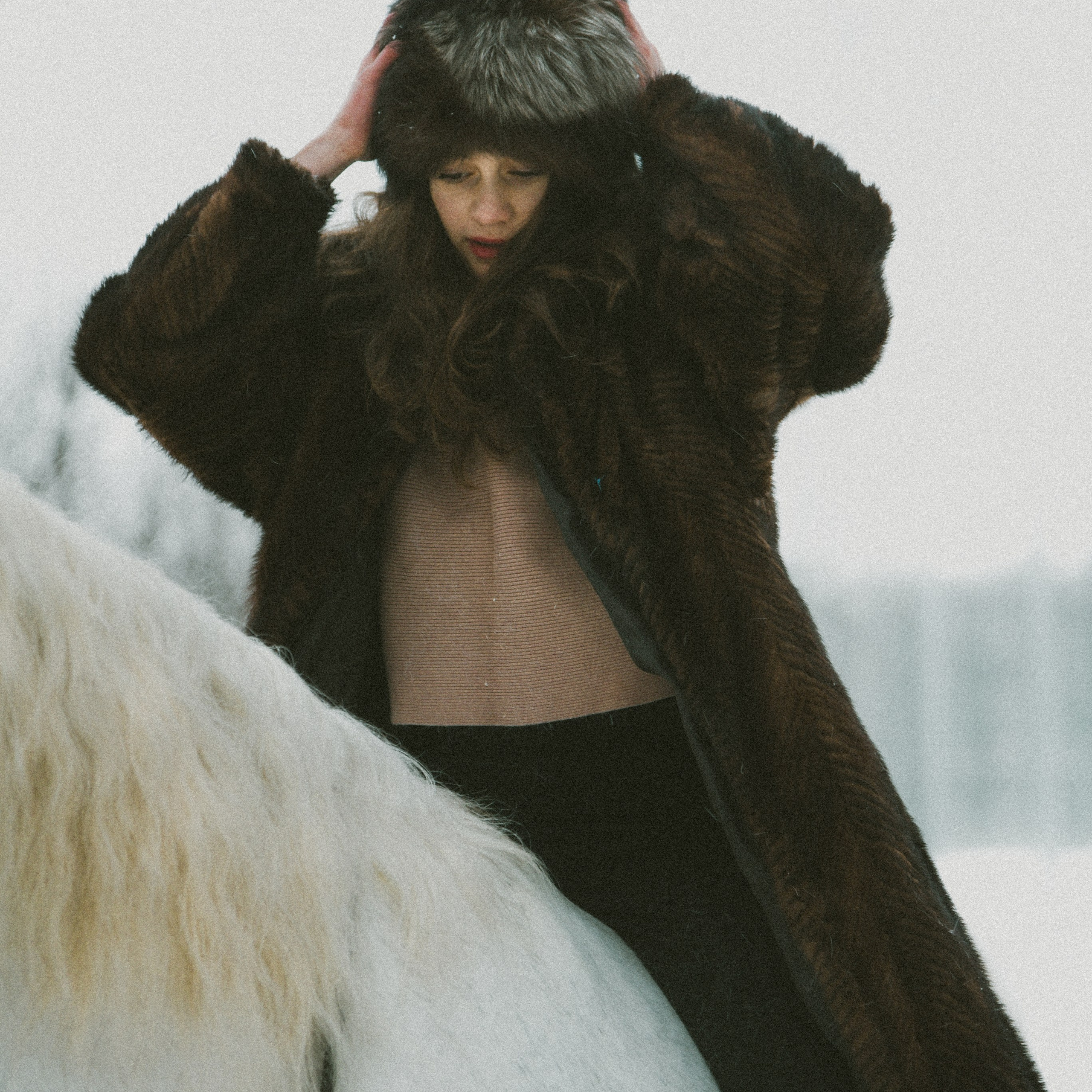 Анастасия зима с лошадьми. ФОТОГРАФ СЕРГЕЕВА МАРИЯ