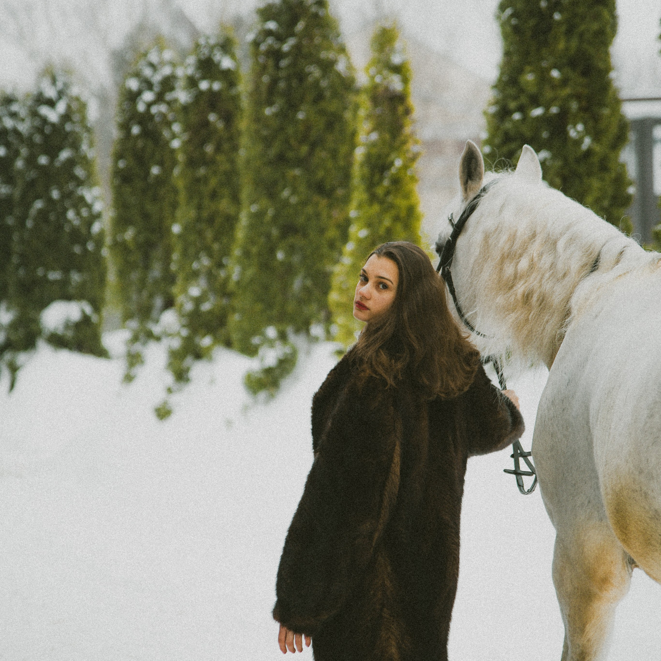 Анастасия зима с лошадьми. ФОТОГРАФ СЕРГЕЕВА МАРИЯ