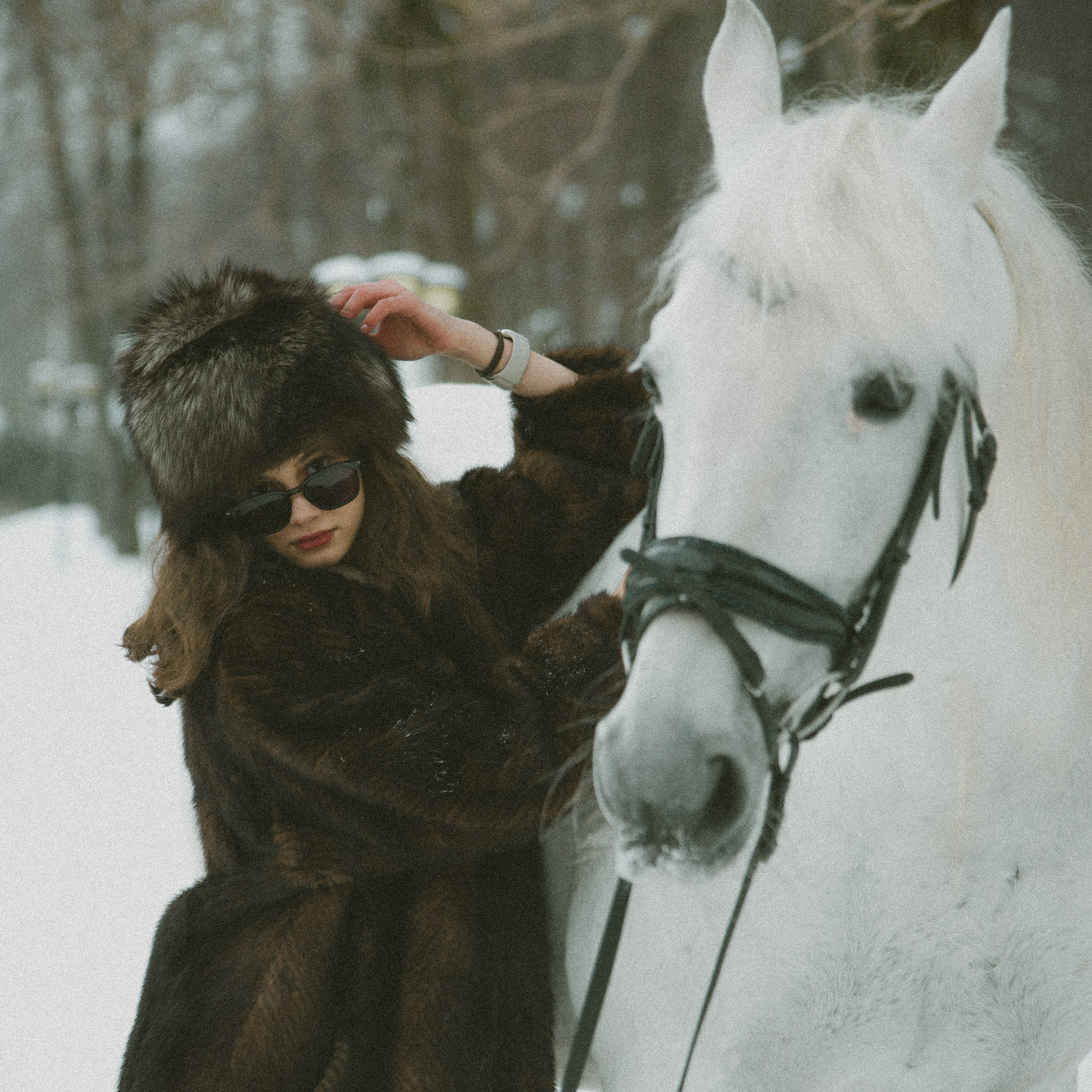 Анастасия зима с лошадьми. ФОТОГРАФ СЕРГЕЕВА МАРИЯ