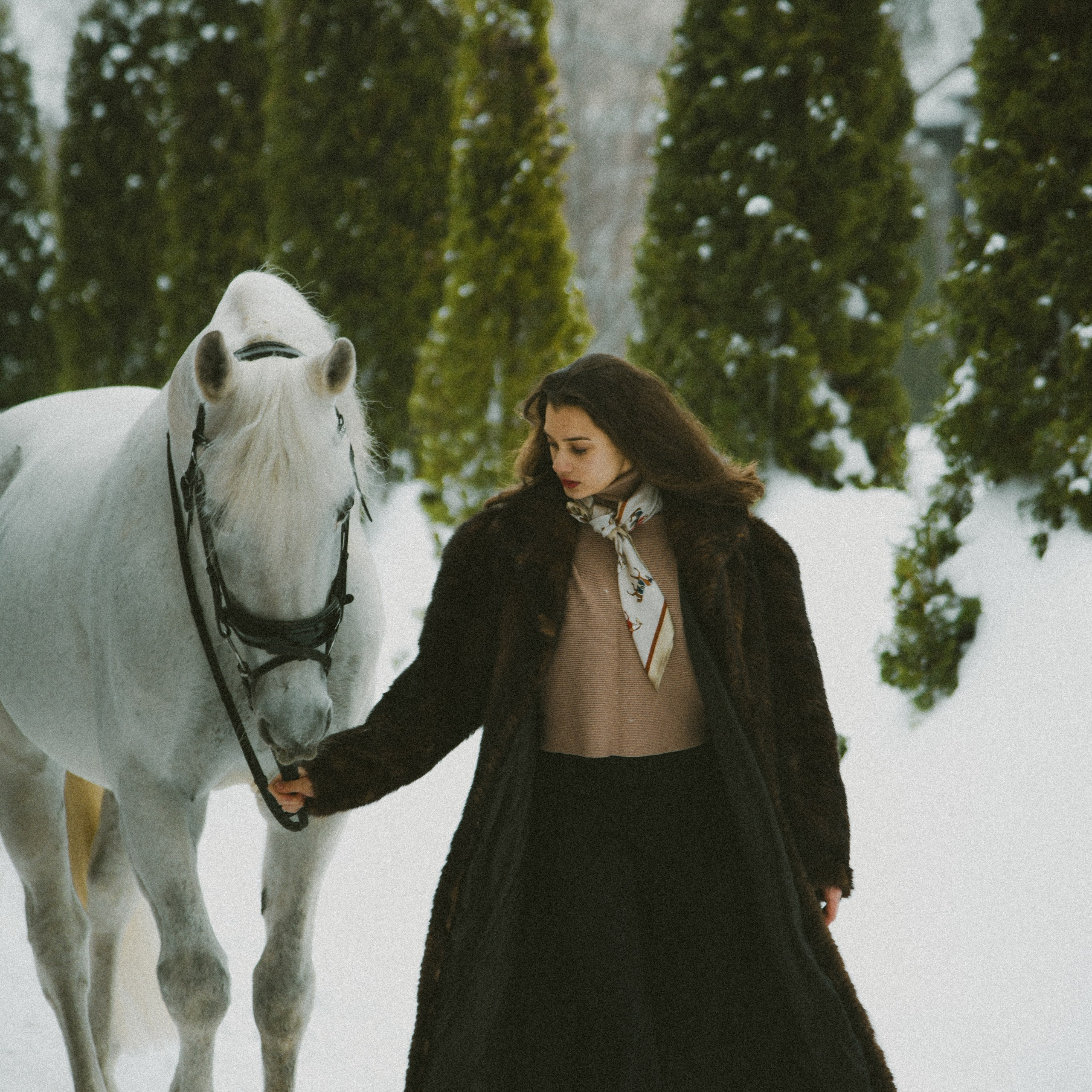 Анастасия зима с лошадьми. ФОТОГРАФ СЕРГЕЕВА МАРИЯ