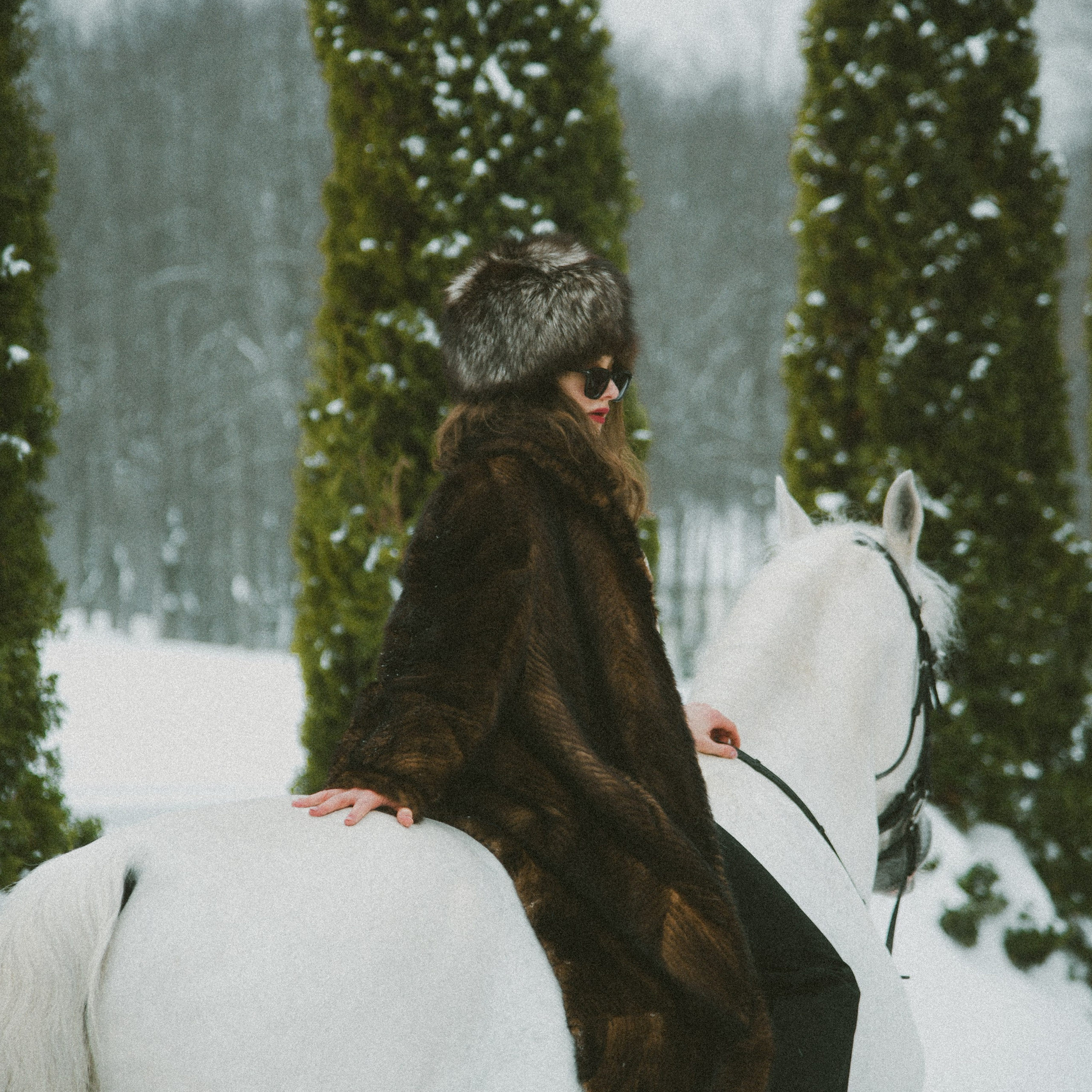 Анастасия зима с лошадьми. ФОТОГРАФ СЕРГЕЕВА МАРИЯ