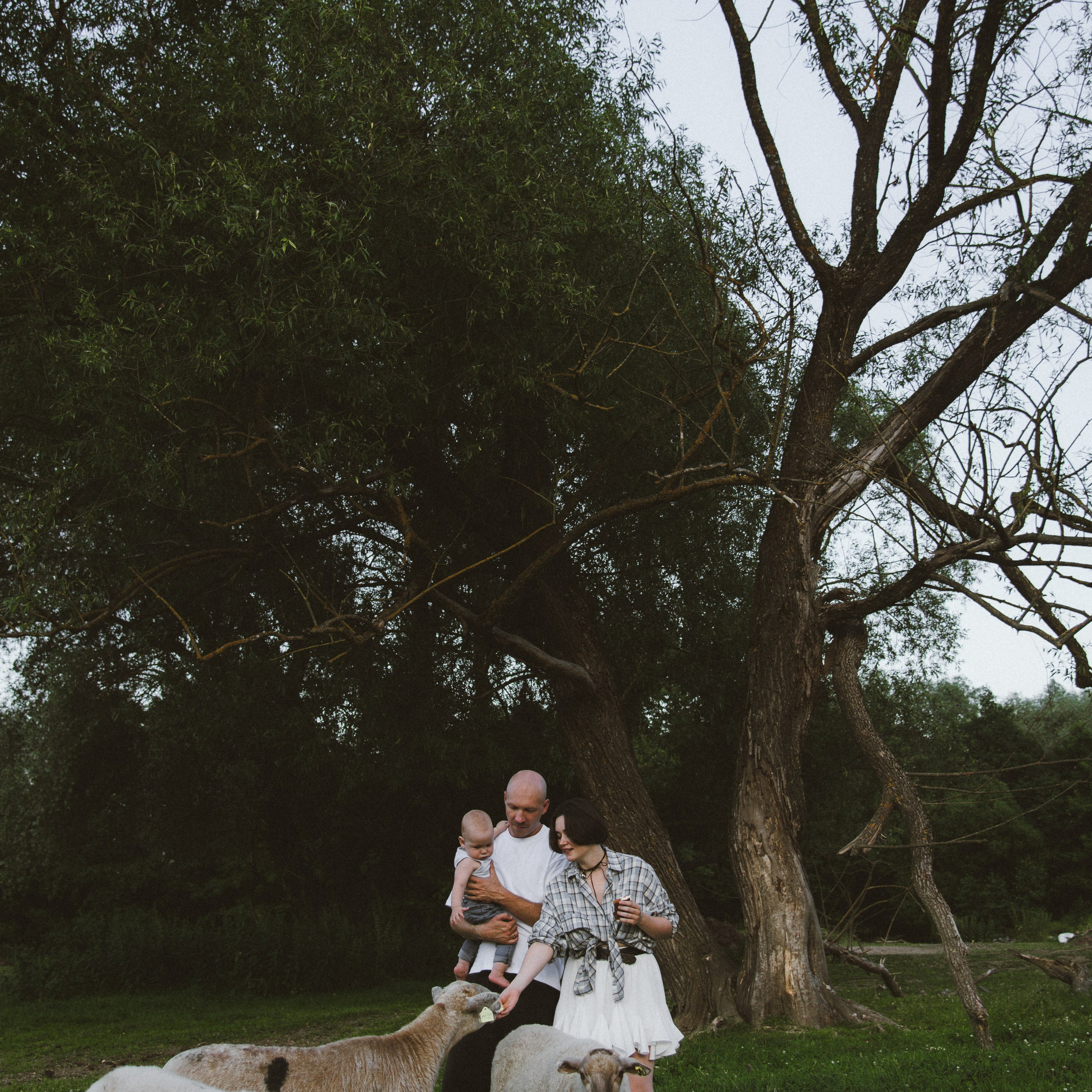 Юля & Макс. ФОТОГРАФ СЕРГЕЕВА МАРИЯ