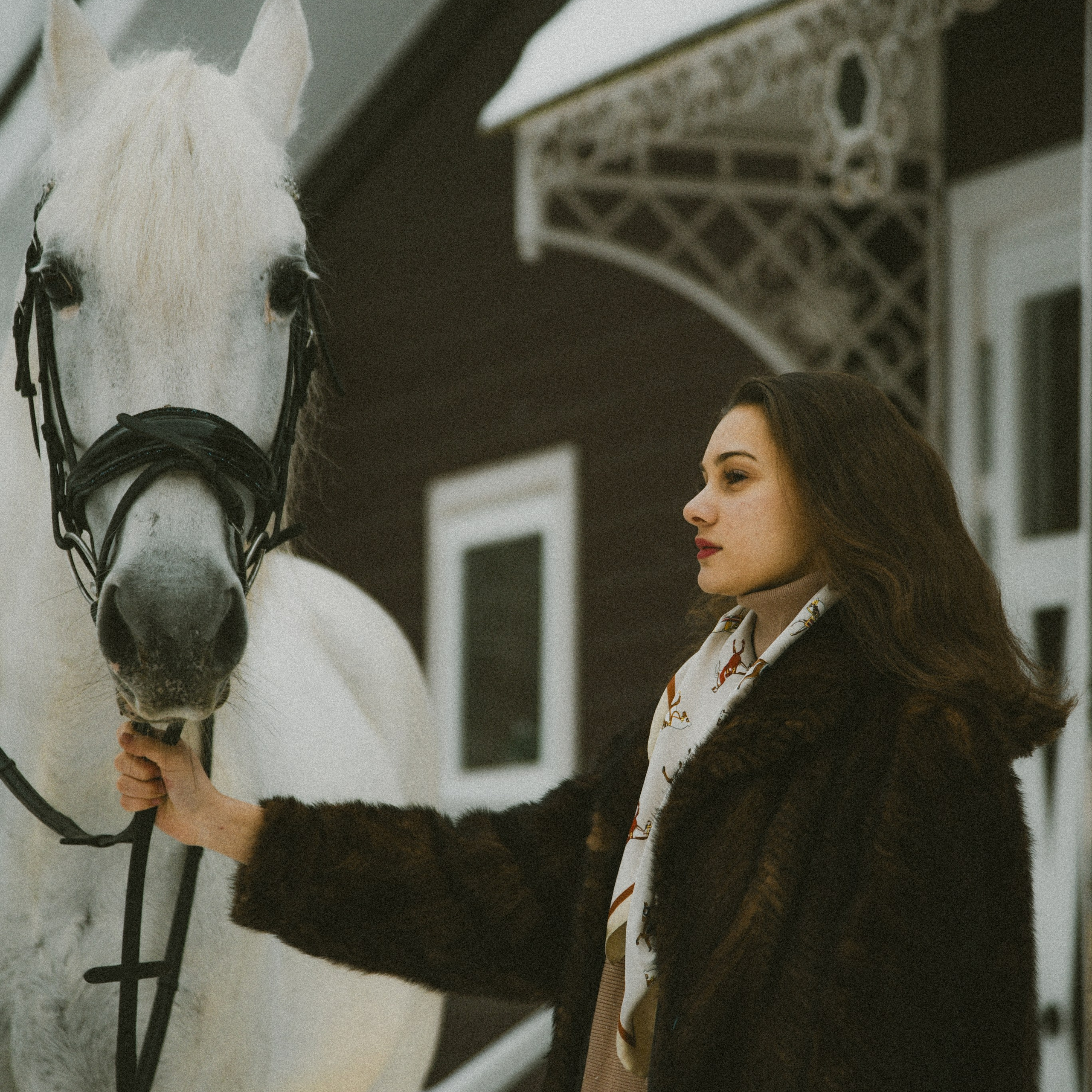 Анастасия зима с лошадьми. ФОТОГРАФ СЕРГЕЕВА МАРИЯ