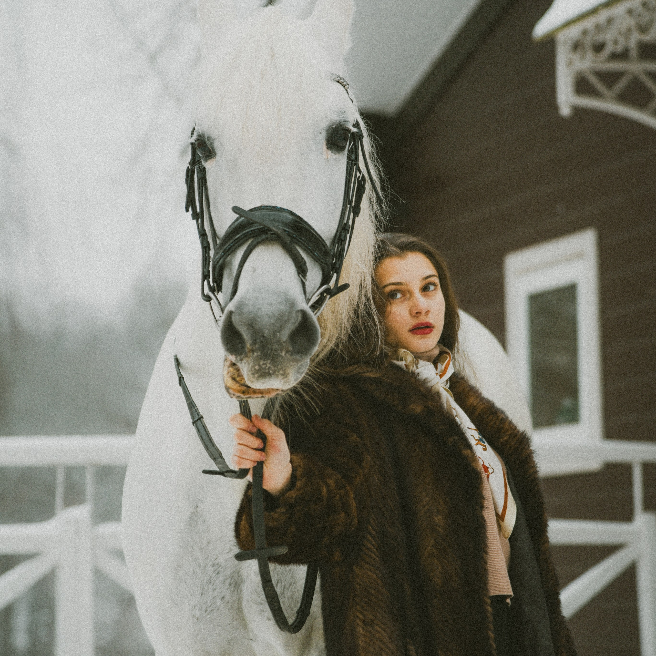 Анастасия зима с лошадьми. ФОТОГРАФ СЕРГЕЕВА МАРИЯ