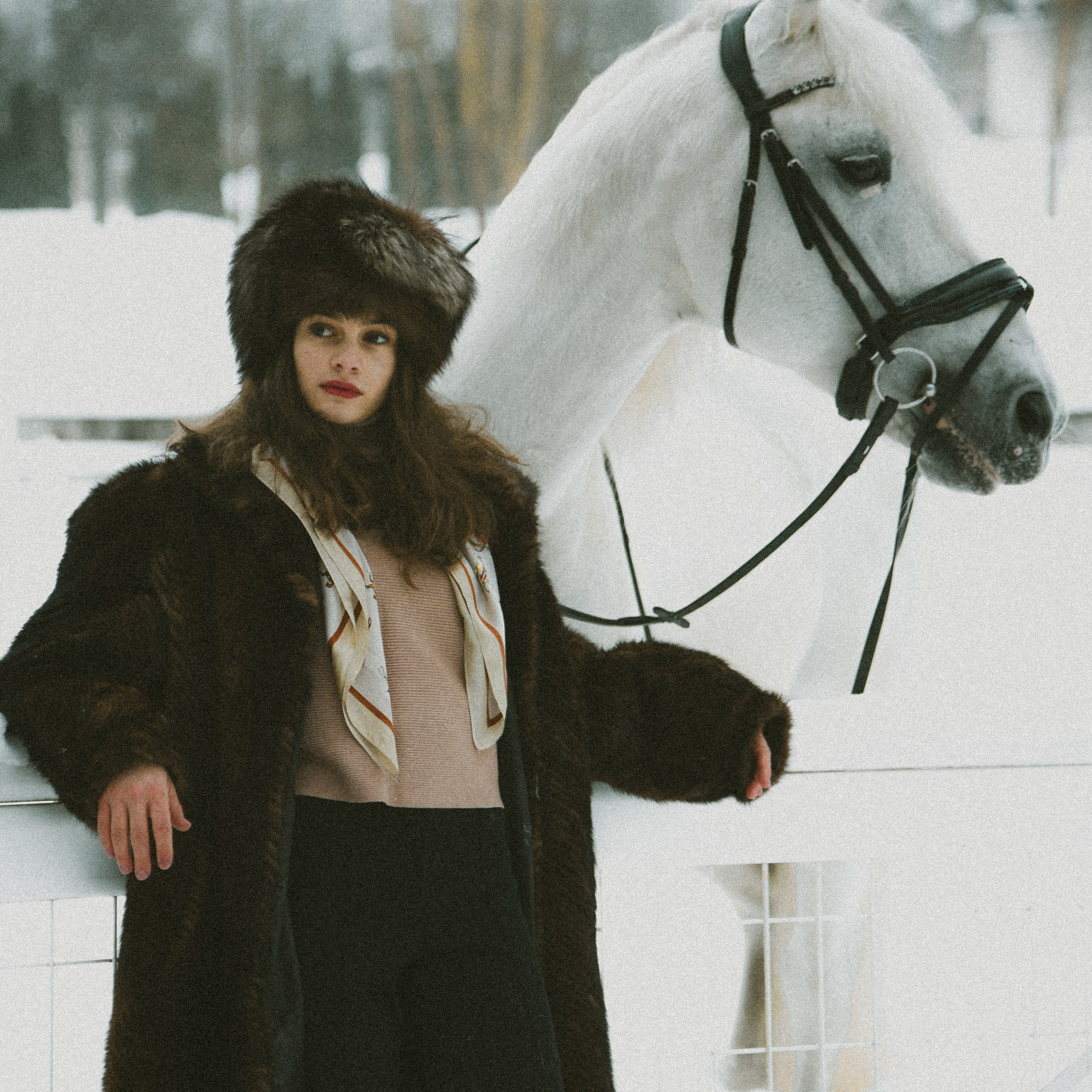 Анастасия зима с лошадьми. ФОТОГРАФ СЕРГЕЕВА МАРИЯ