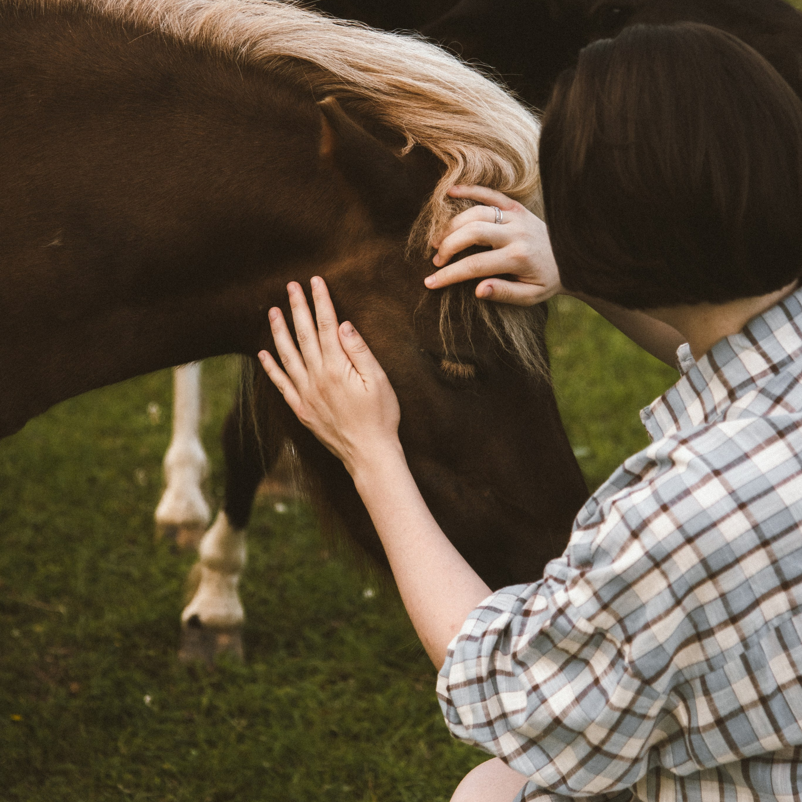Юля & Макс. ФОТОГРАФ СЕРГЕЕВА МАРИЯ