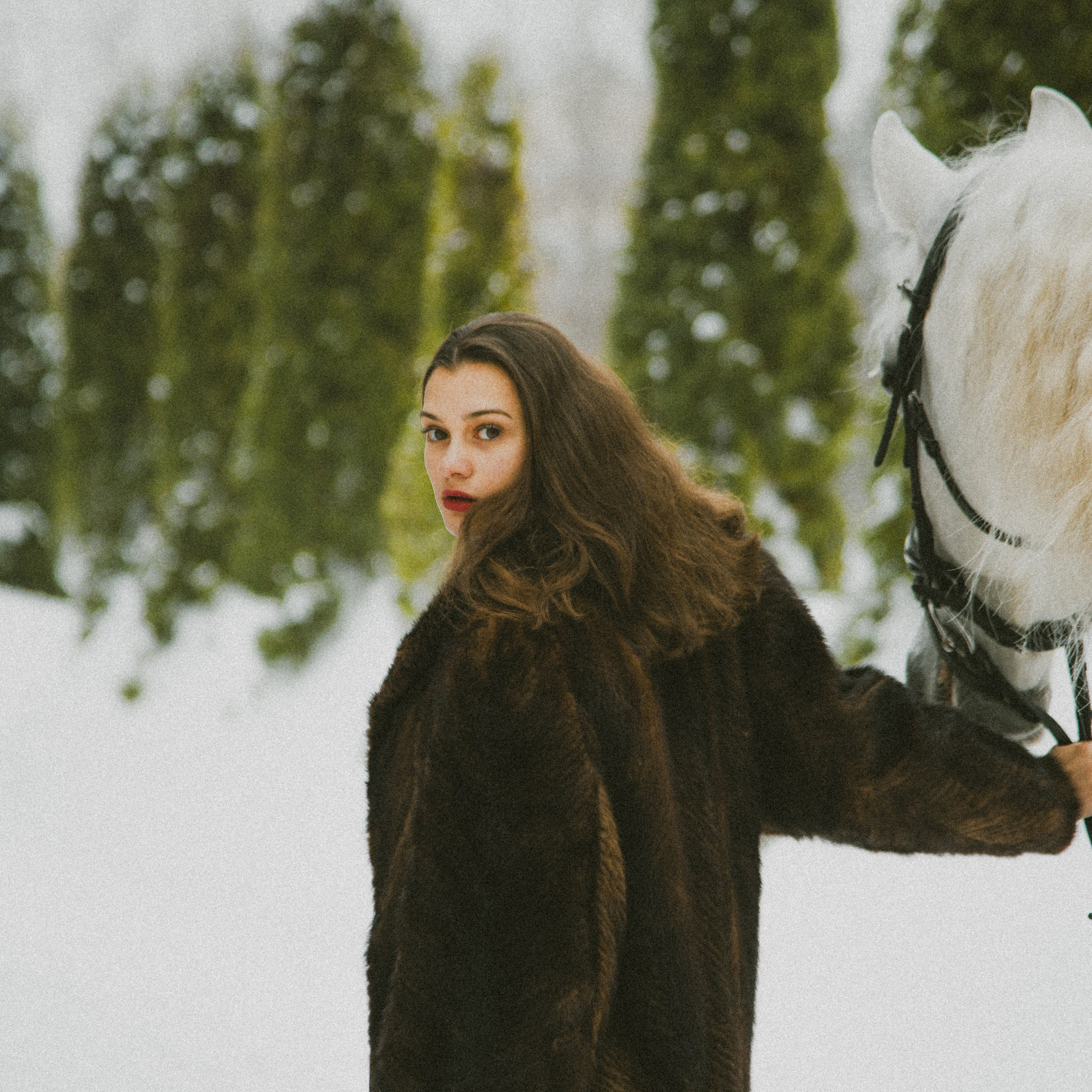 Анастасия зима с лошадьми. ФОТОГРАФ СЕРГЕЕВА МАРИЯ