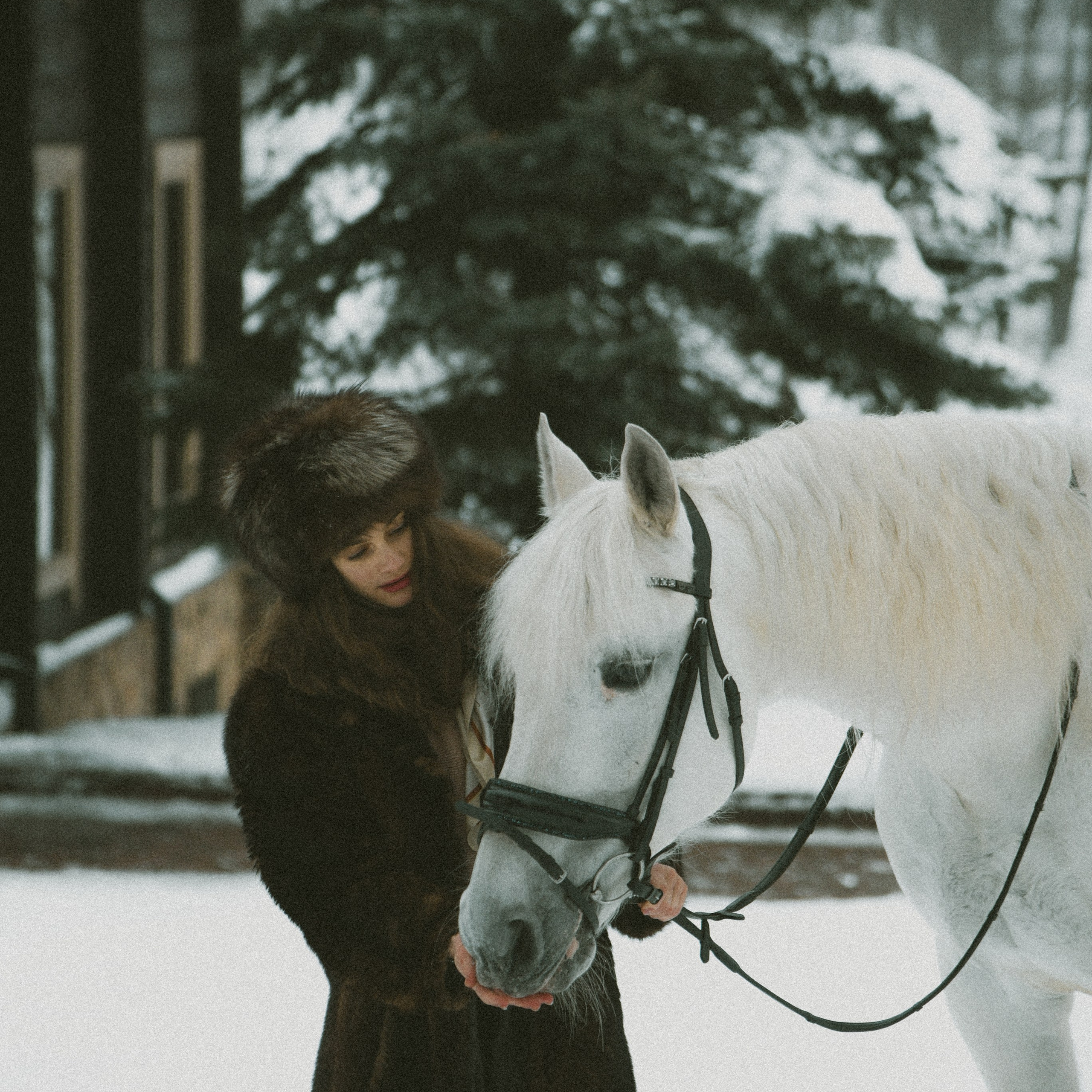 Анастасия зима с лошадьми. ФОТОГРАФ СЕРГЕЕВА МАРИЯ