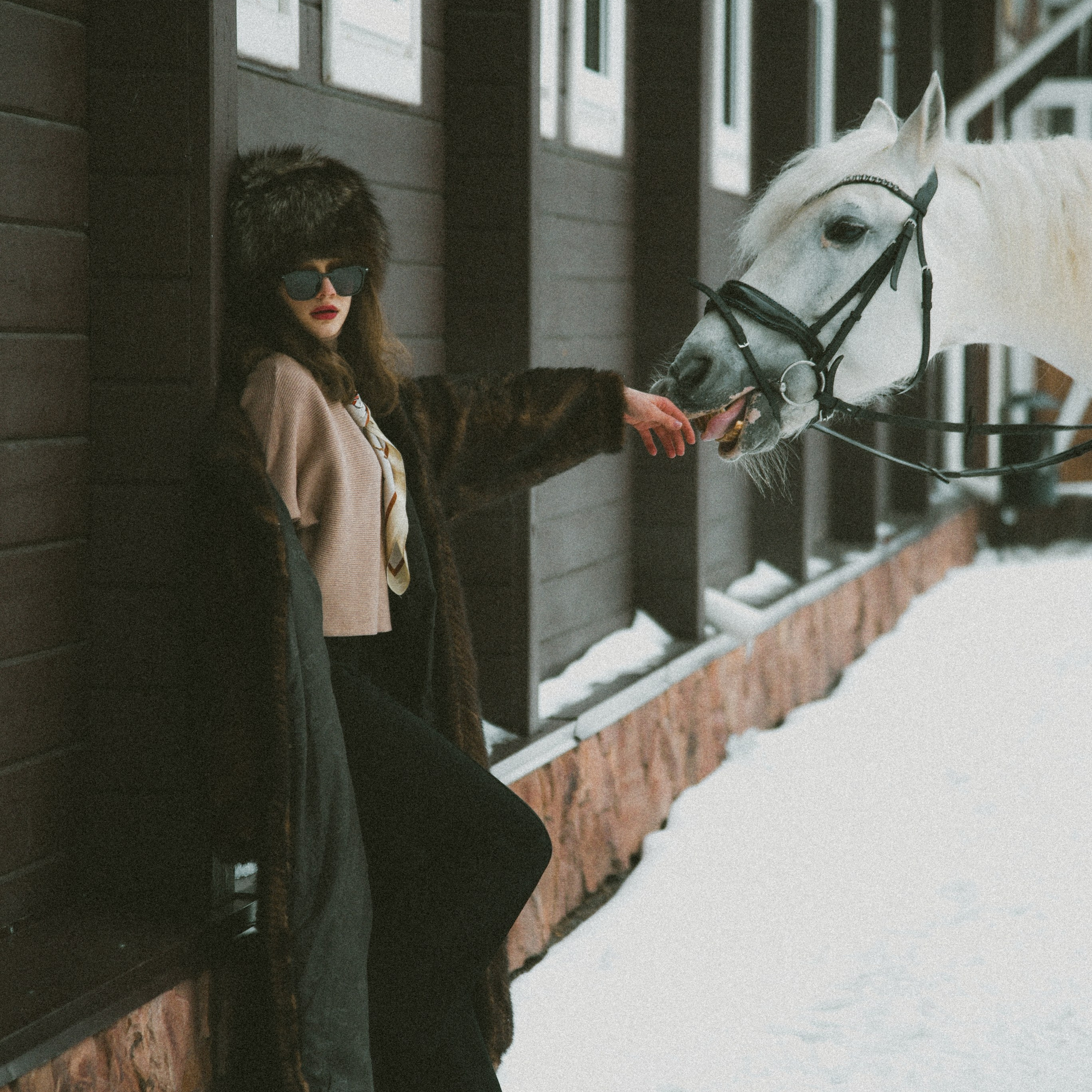 Анастасия зима с лошадьми. ФОТОГРАФ СЕРГЕЕВА МАРИЯ