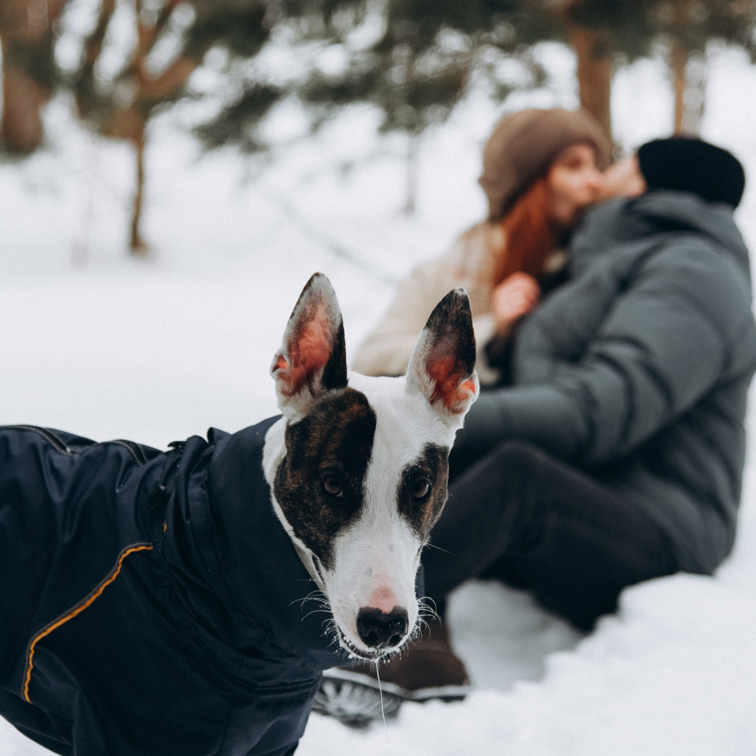 Вика Дима. ФОТОГРАФ СЕРГЕЕВА МАРИЯ